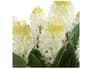 {{productInfo.Description + ' ' + productInfo.ItemCode}}