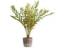 {{productInfo.Description + ' ' + productInfo.ItemCode}}
