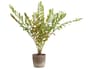 {{productInfo.Description + ' ' + productInfo.ItemCode}}