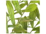 {{productInfo.Description + ' ' + productInfo.ItemCode}}