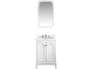 {{productInfo.Description + ' ' + productInfo.ItemCode}}