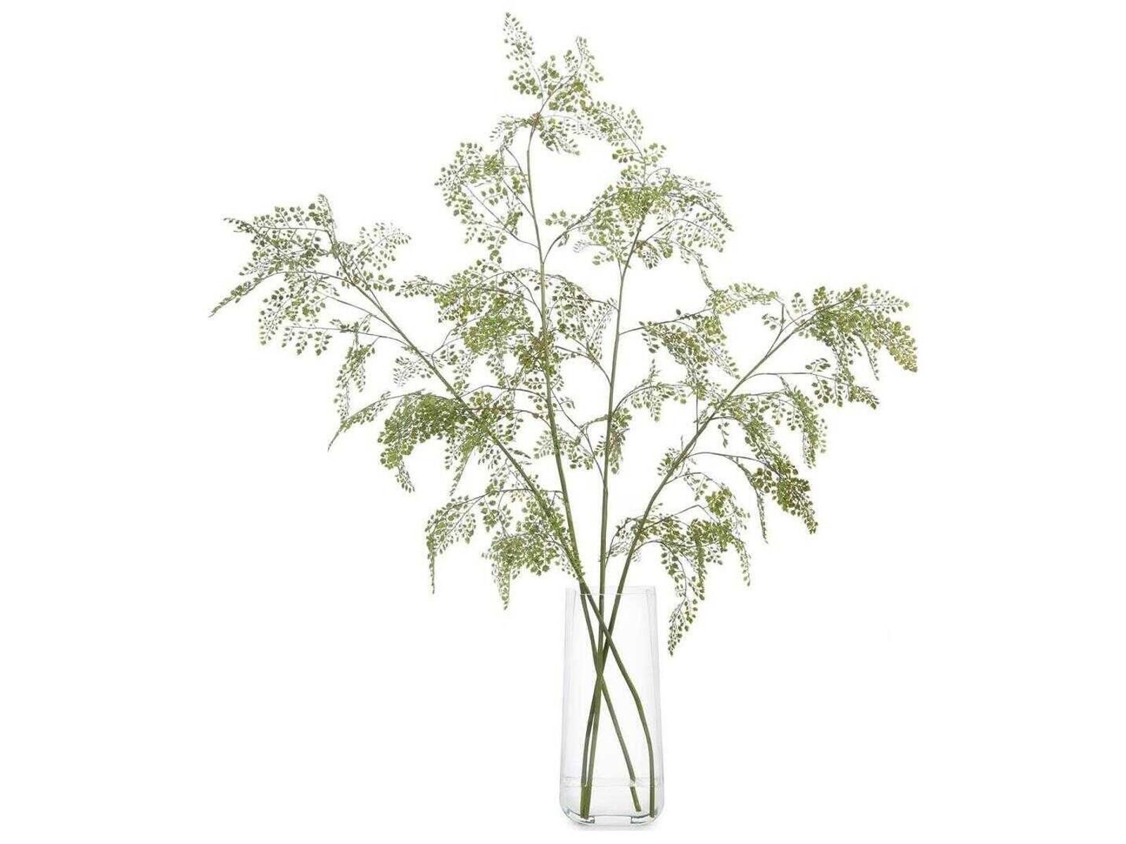 John Richard Aqua Fern