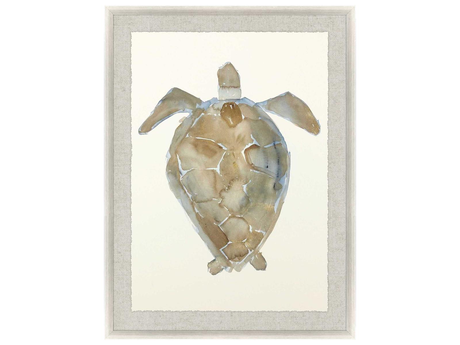Paragon Neutral Turtle-II Wall Art