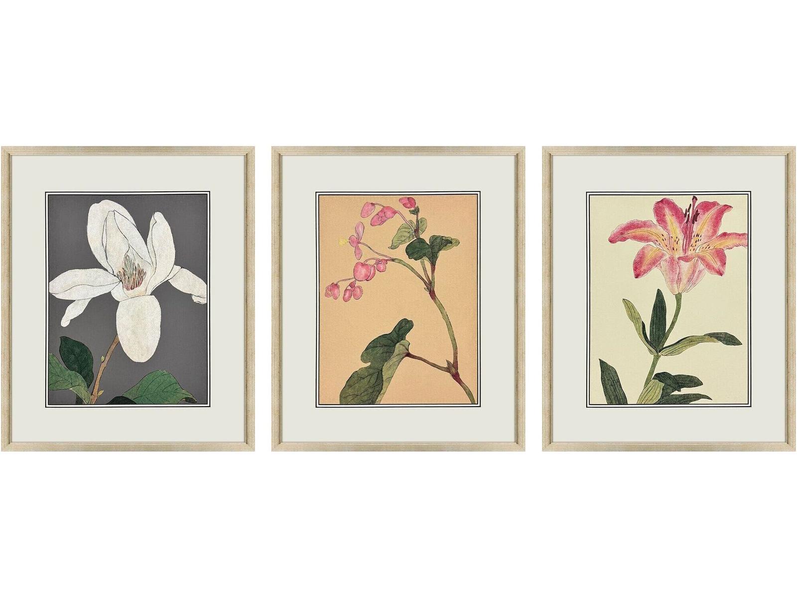 Paragon Enchanted Blooms II Framed Art - Set of 3