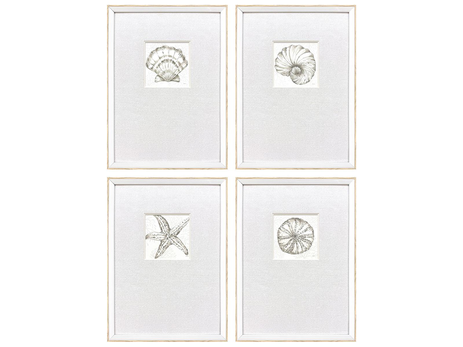 Paragon Coastal Reef Framed Art - Set of 4