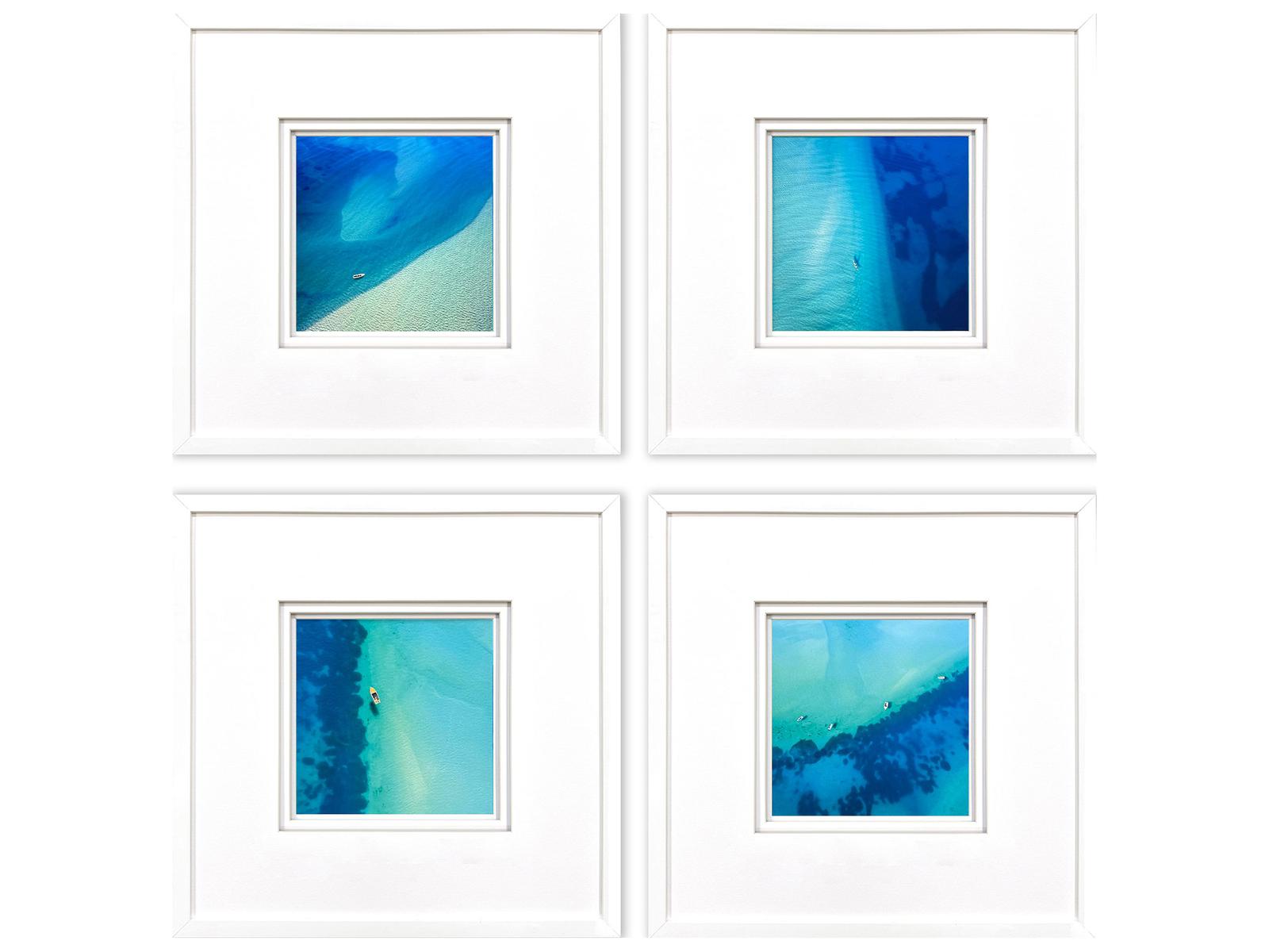 Paragon Nature From Above Framed Art - Set of 4