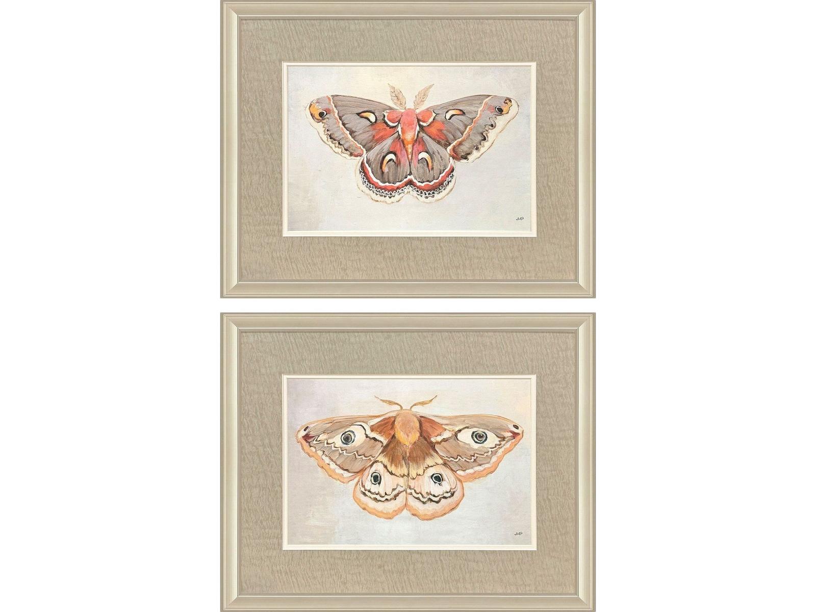 Paragon Forest Moth Framed Art - Set of 2