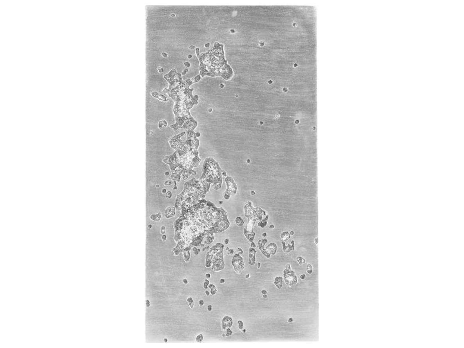 Phillips Collection Splotch Wall Art