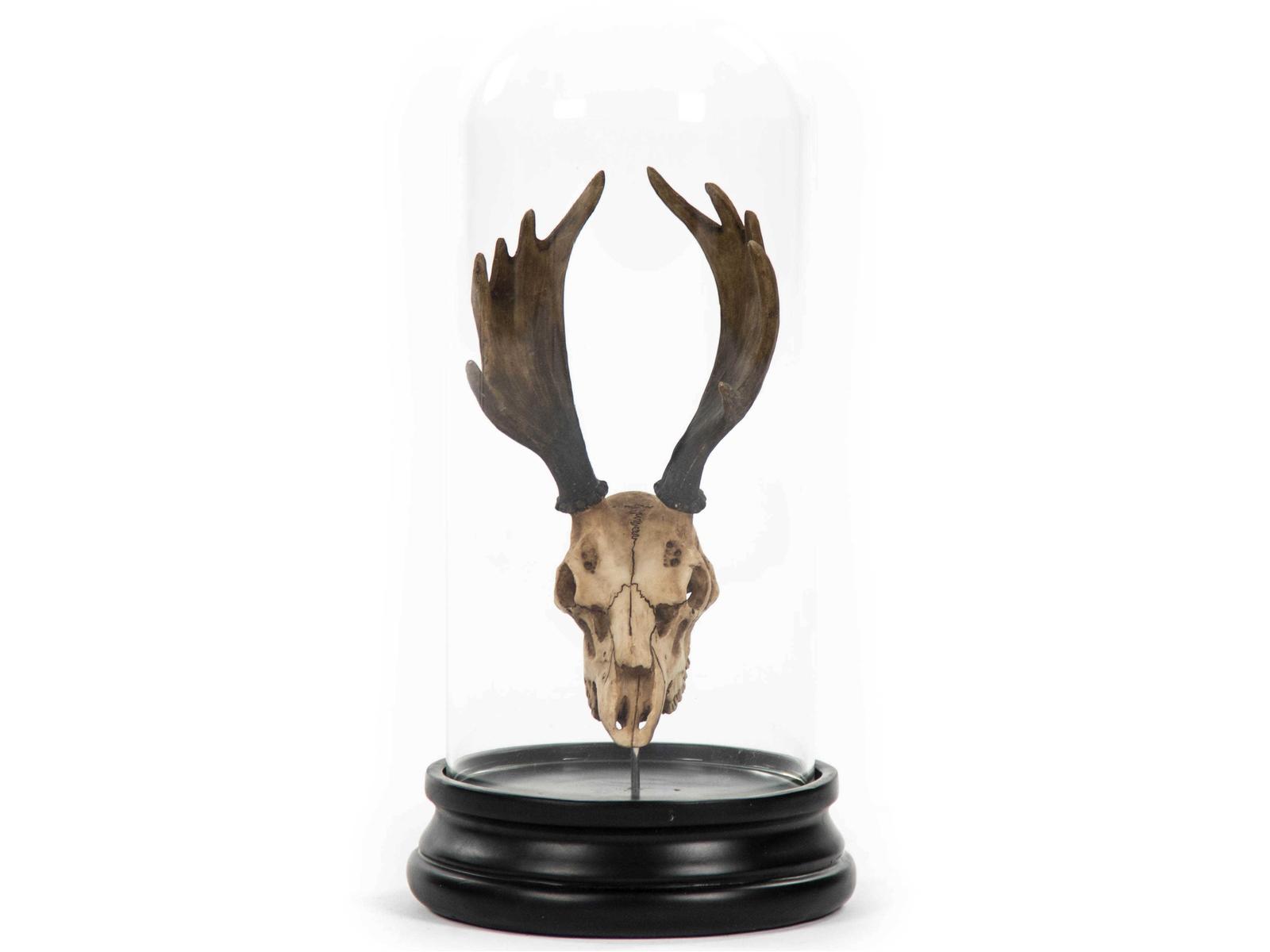 Zentique Moose Skull Sculpture - Thumbnail 2