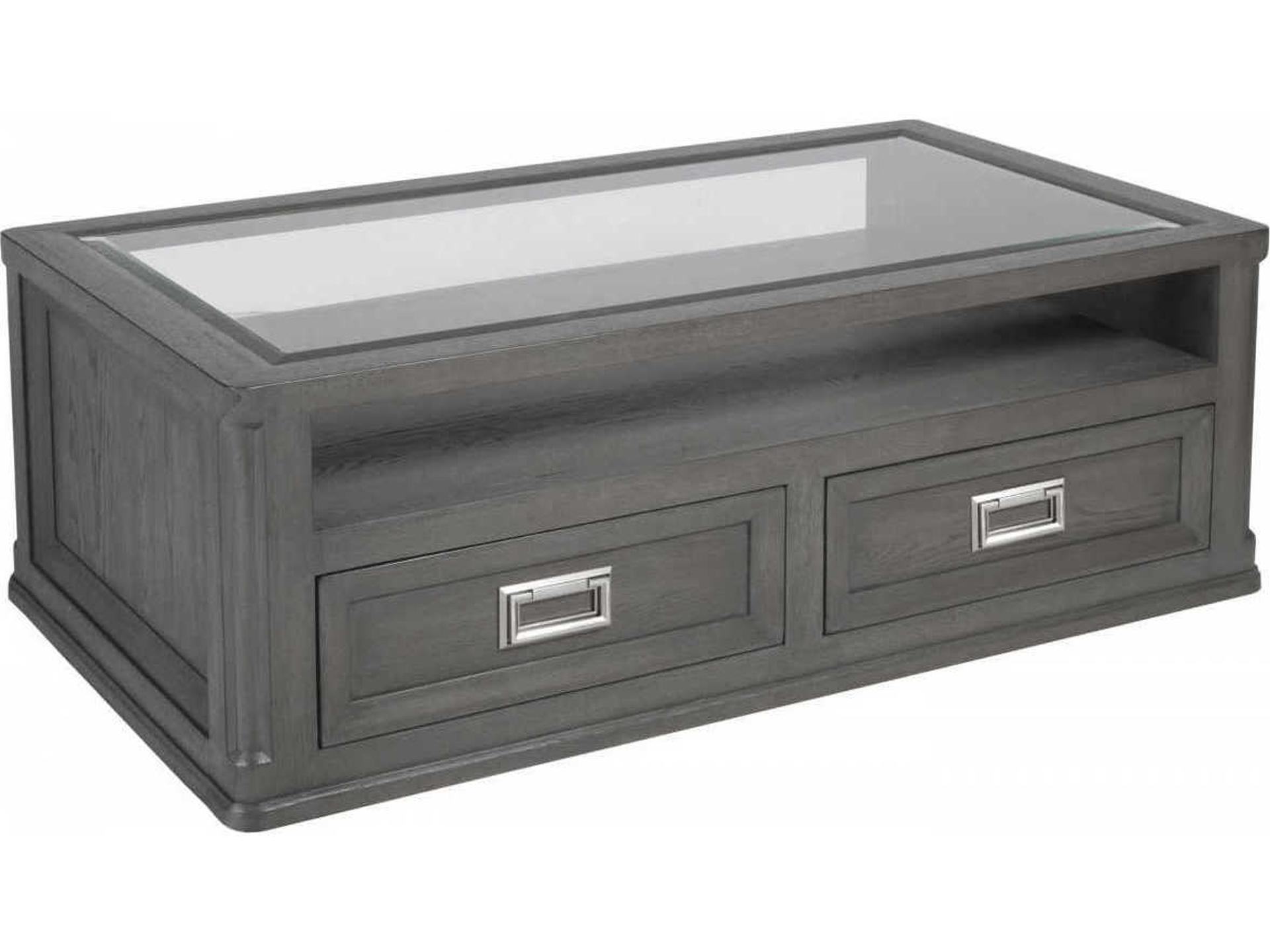 Appellation Rectangular Glass Coffee Table in Gray
