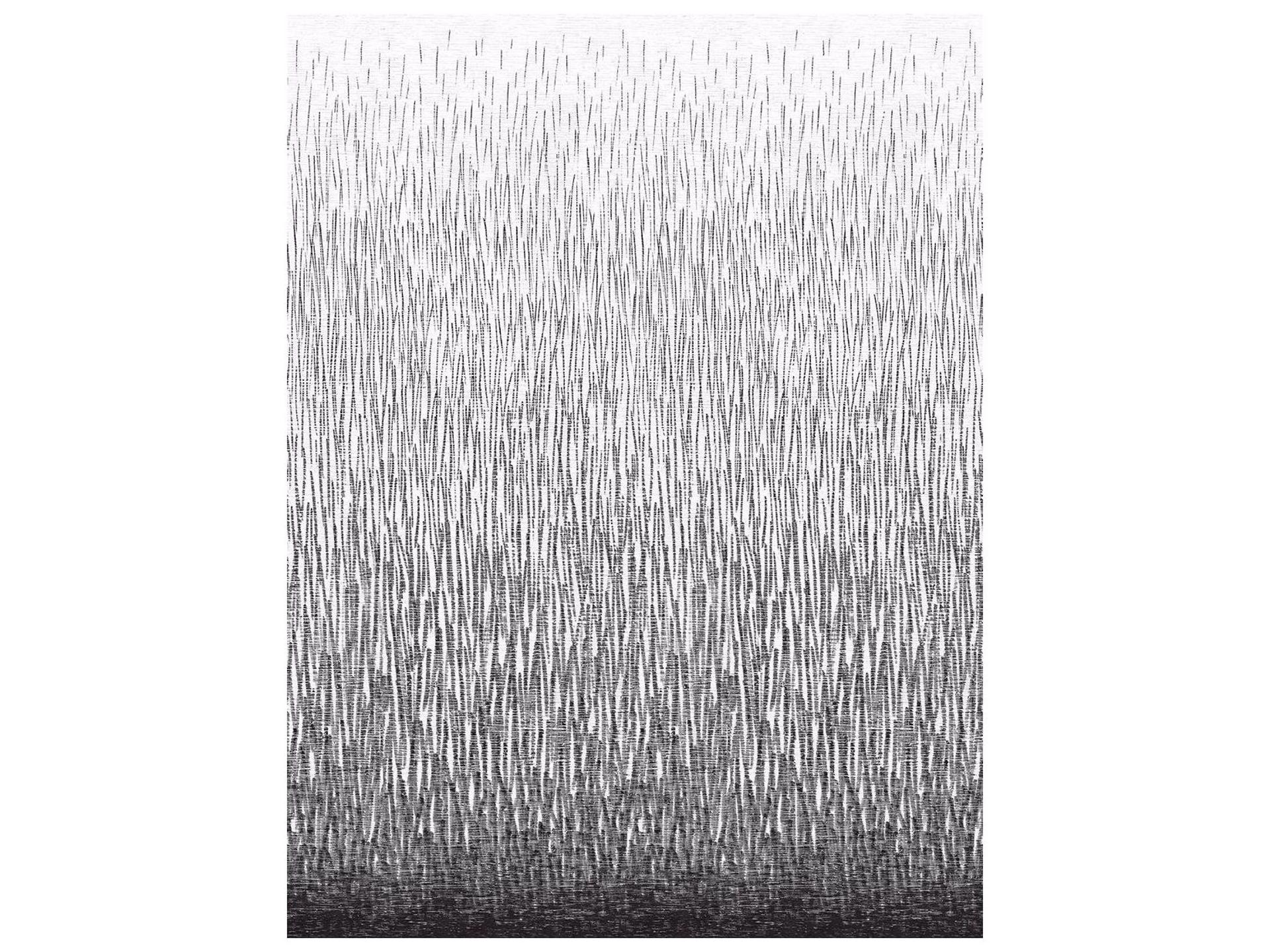 Amaya Black Abstract Wall Mural