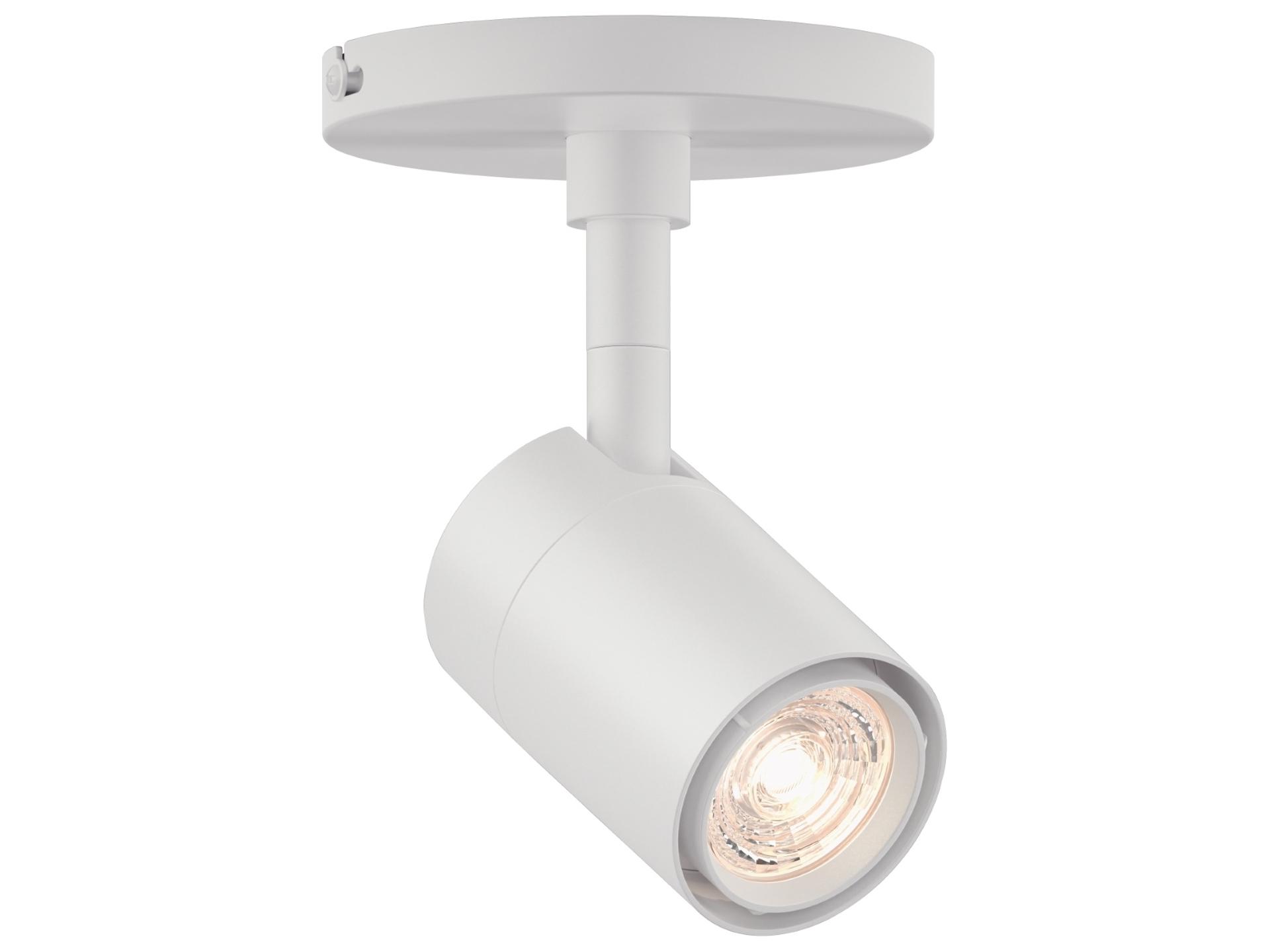 GX10 1-Light Cylinder Spot Light