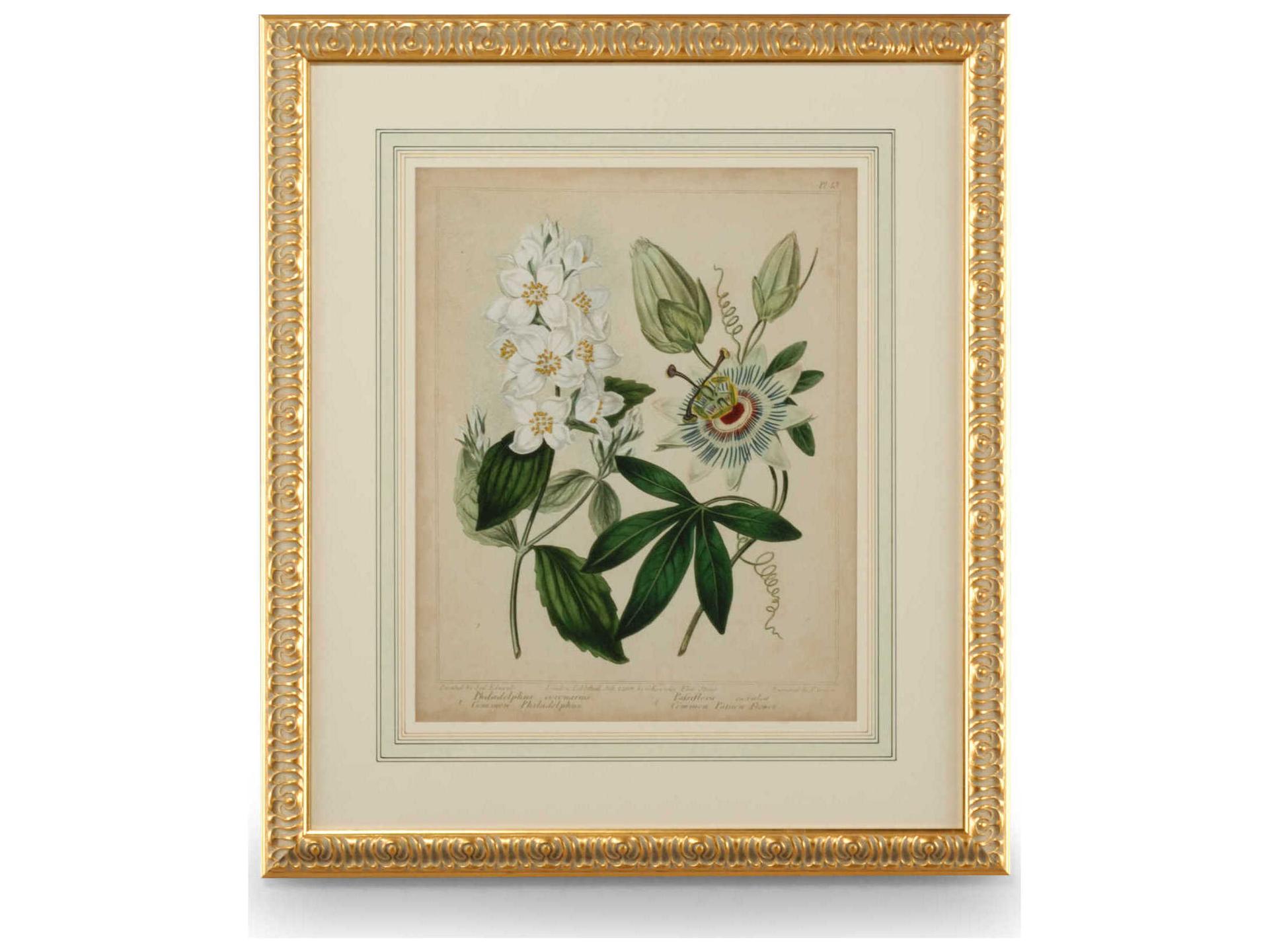 Chelsea House Cottage Florals II