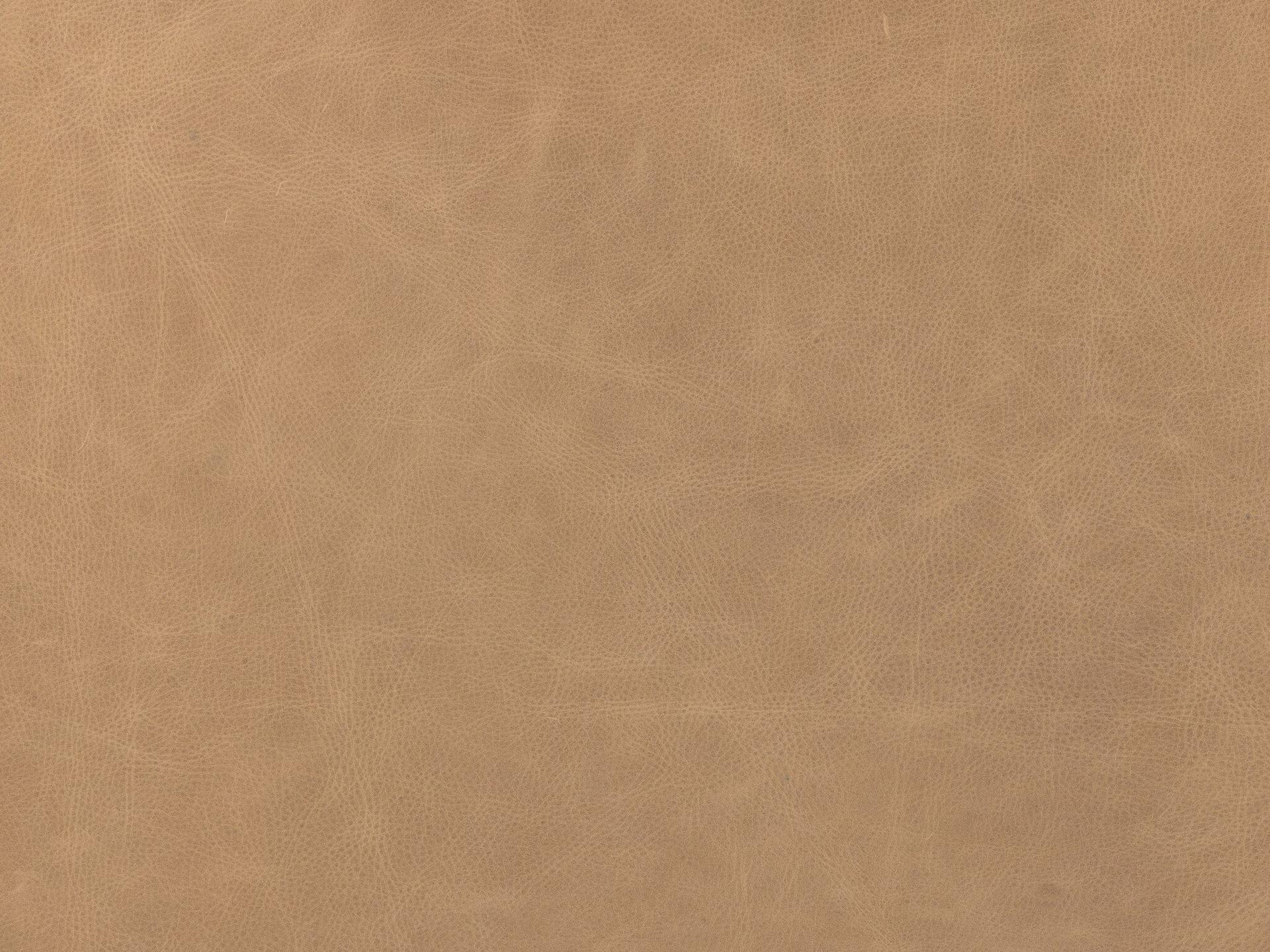 Four Hands Westgate Jude Palermo Nude Desk Chair