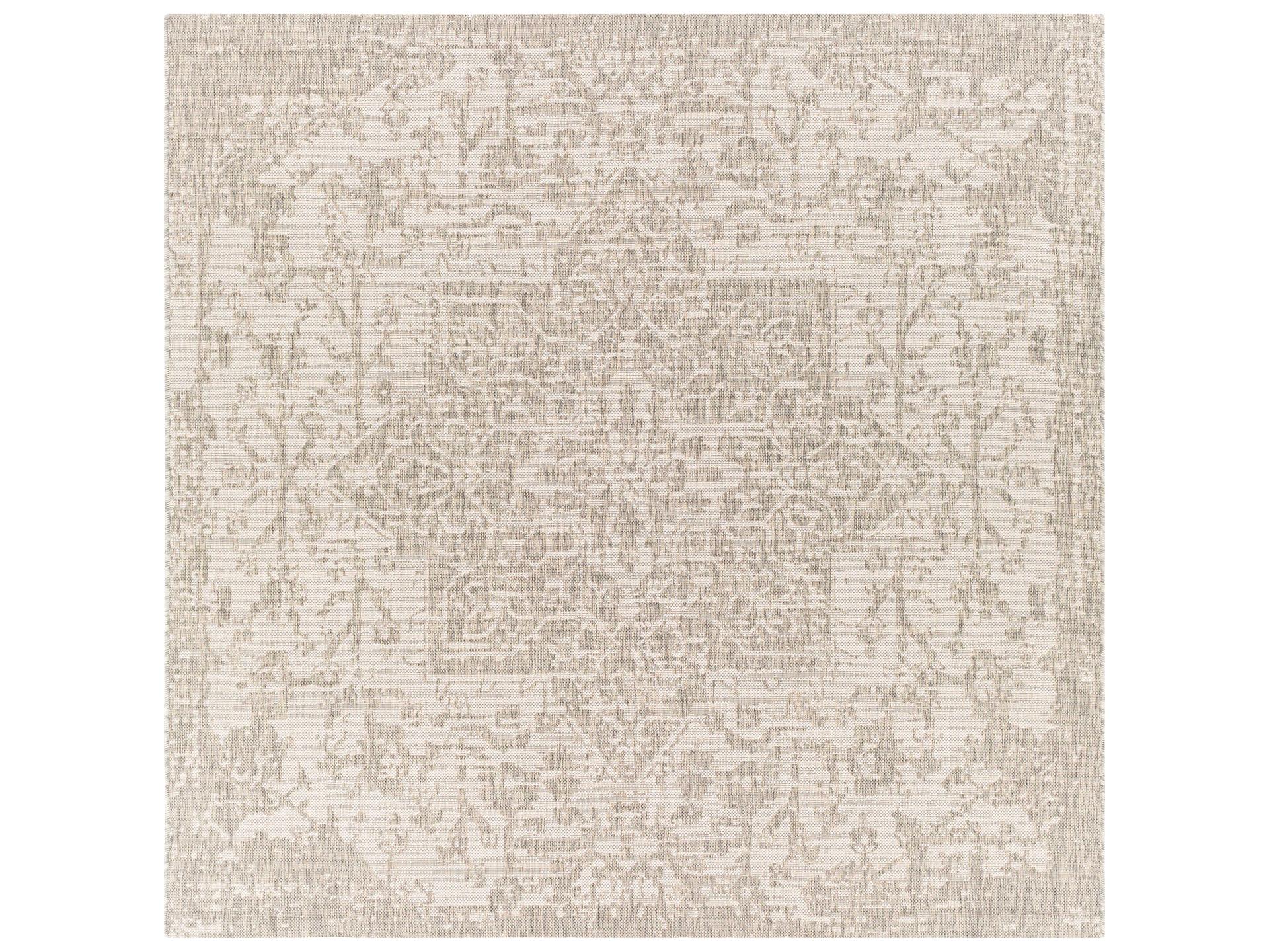 Eagean Bordered Indoor Outdoor Area Rug in Gray Oatmeal
