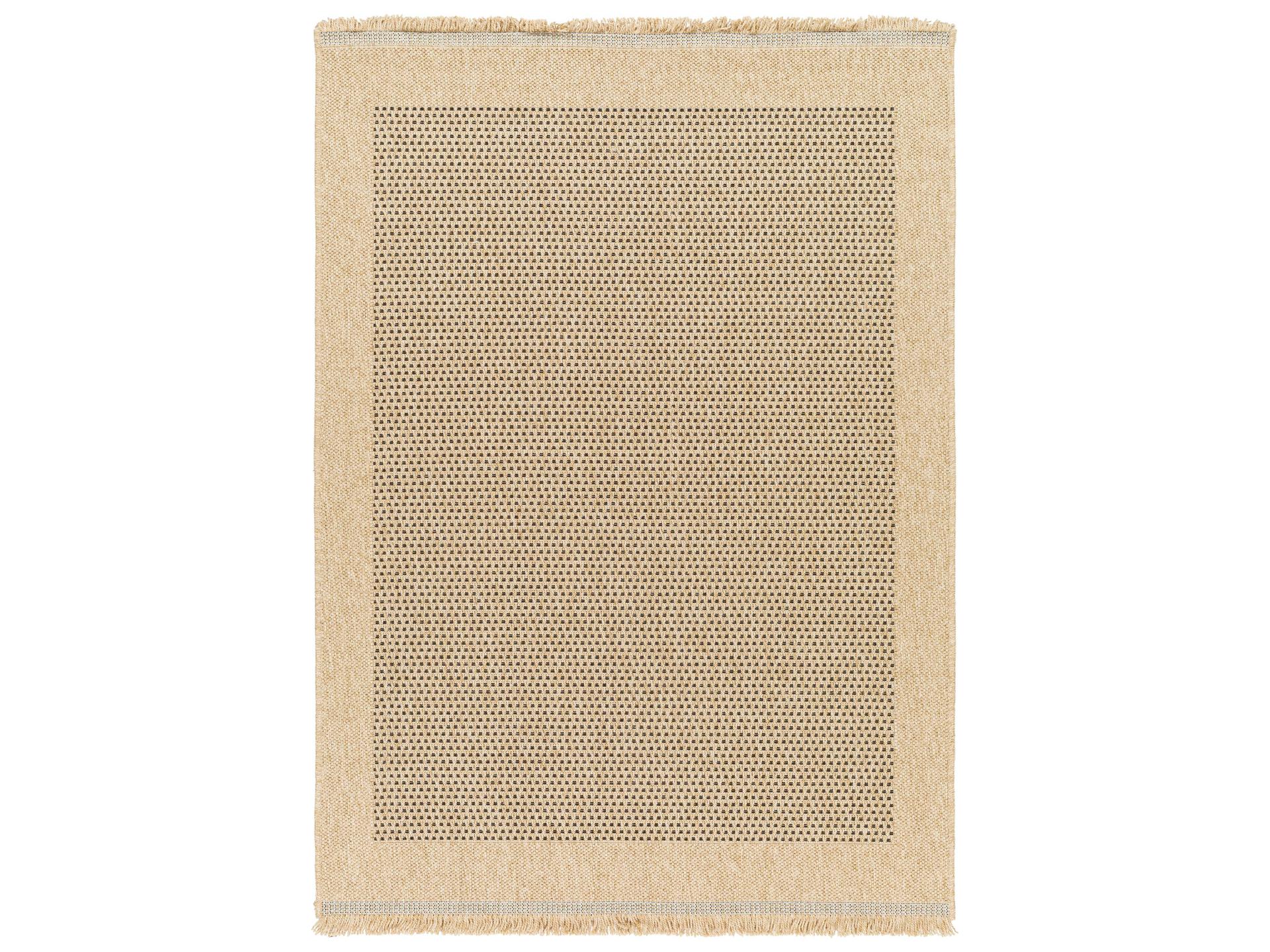 Mirage Bordered Indoor Outdoor Area Rug in Taupe