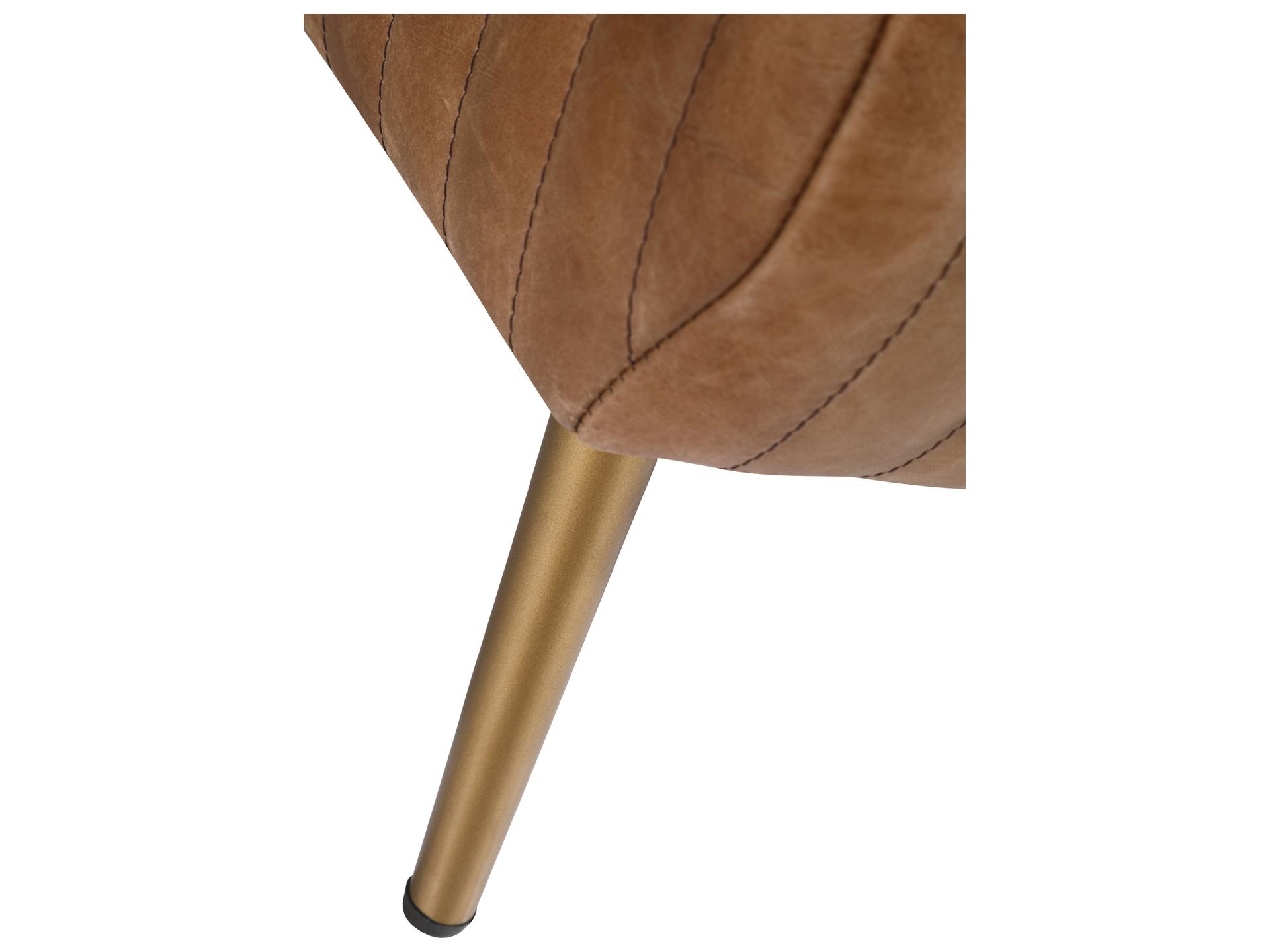 Moe's Home Cappuccino Brown Leather Accent Bench