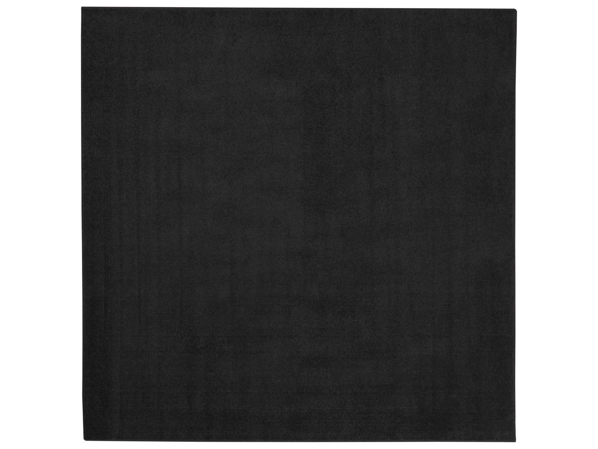 Essentials Area Rug
