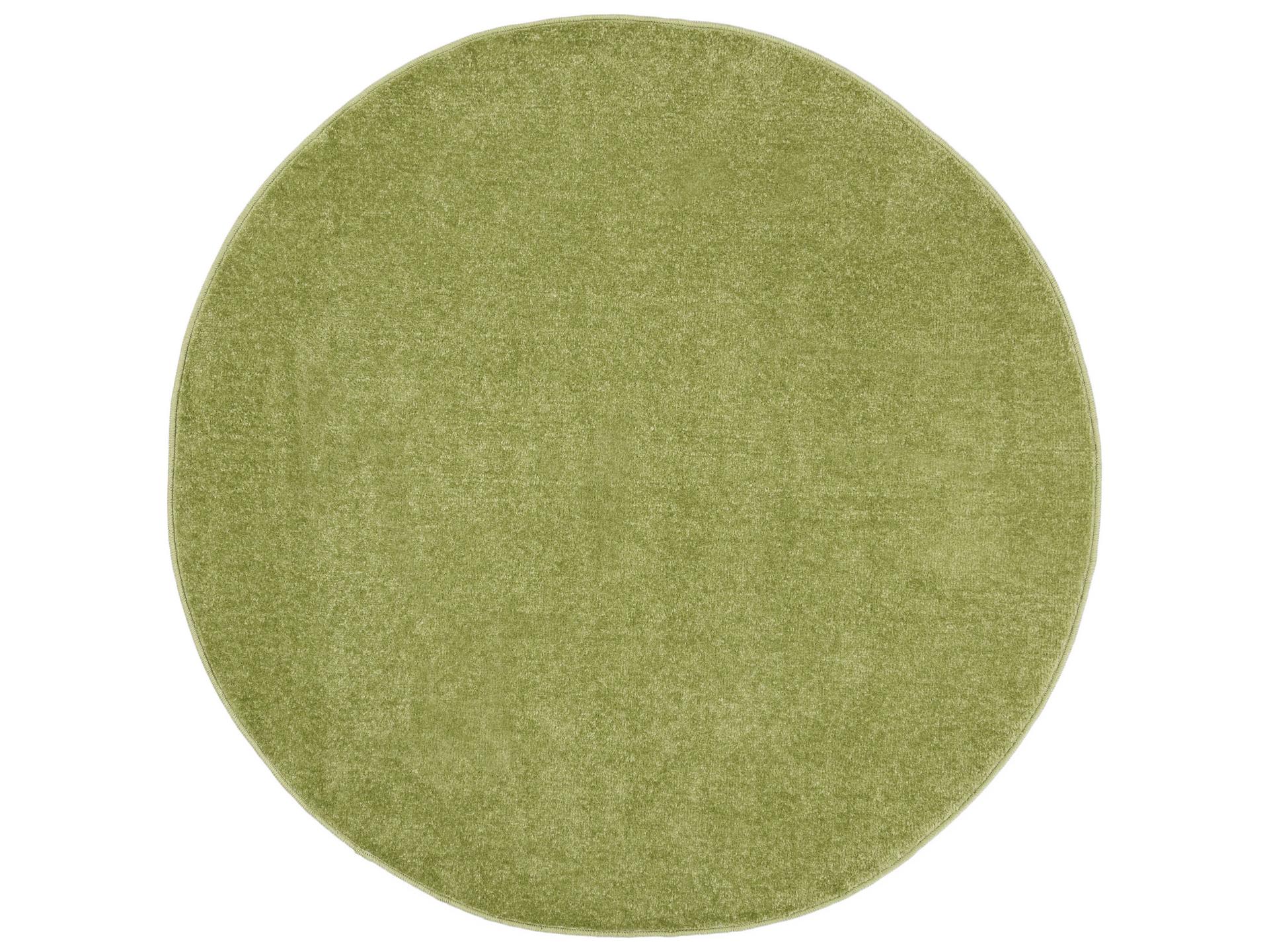 Essentials Area Rug