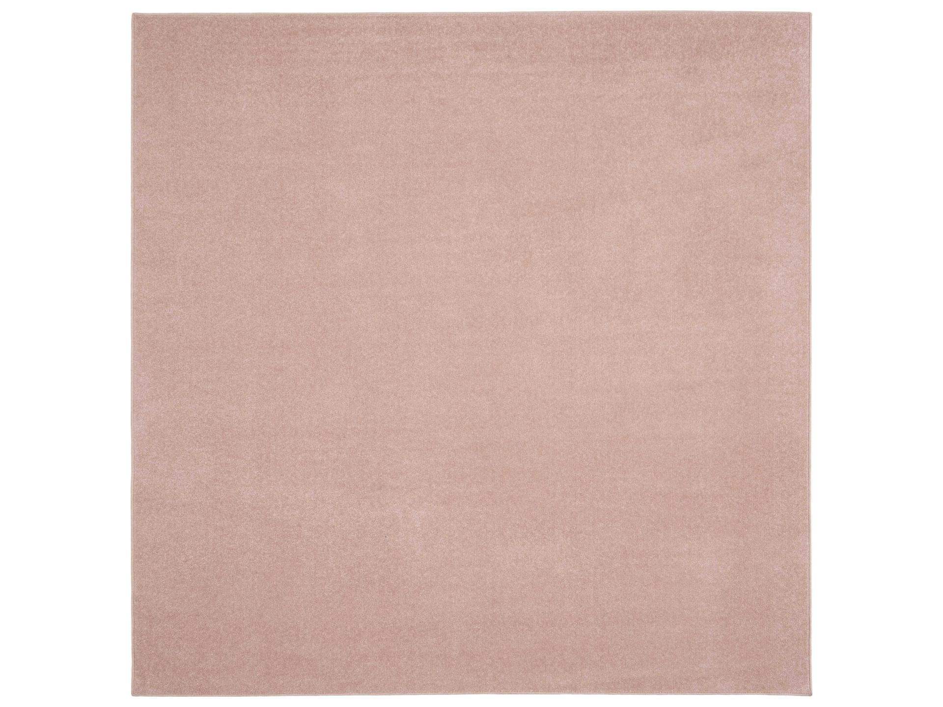Essentials Area Rug