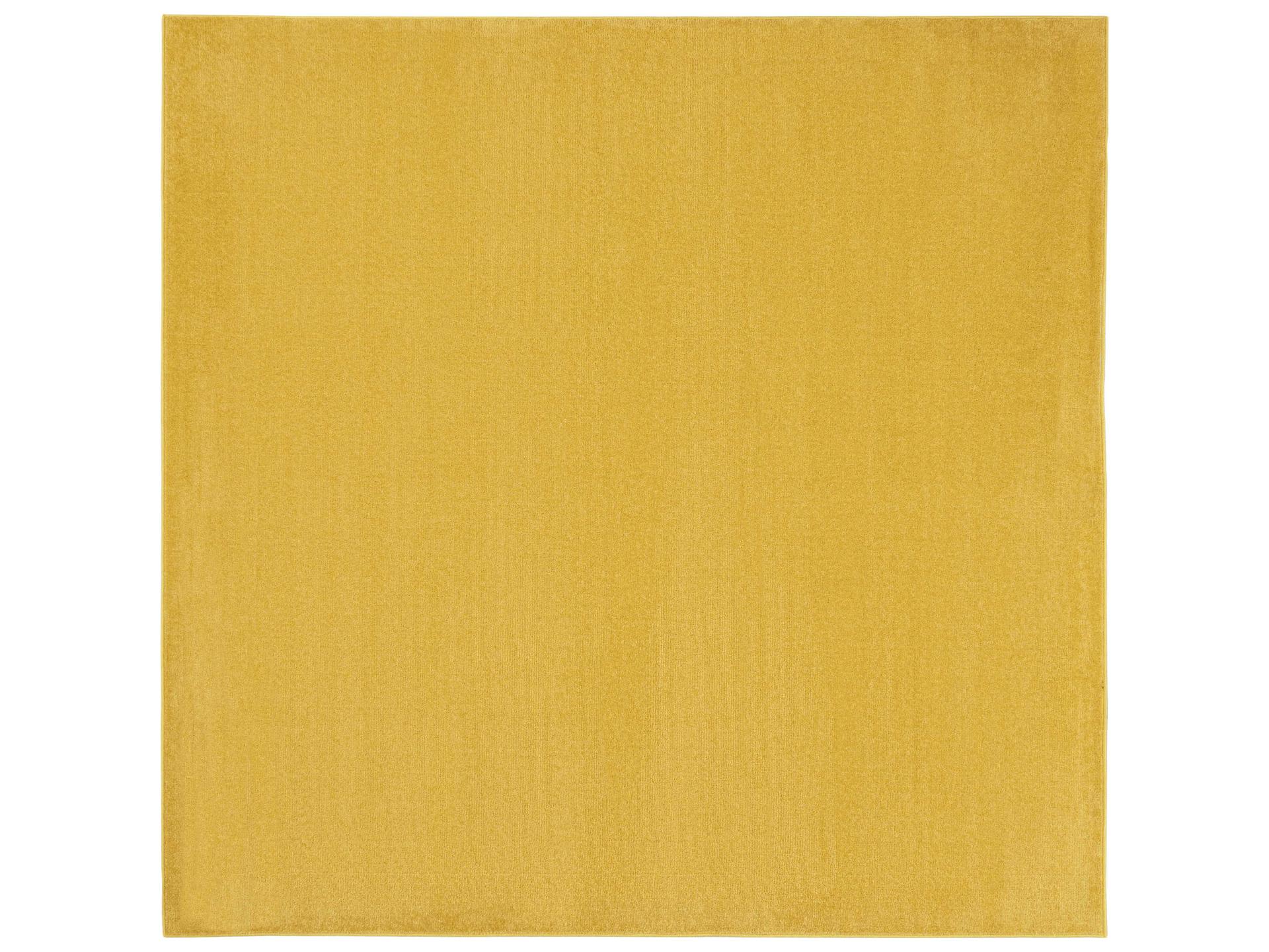 Essentials Area Rug
