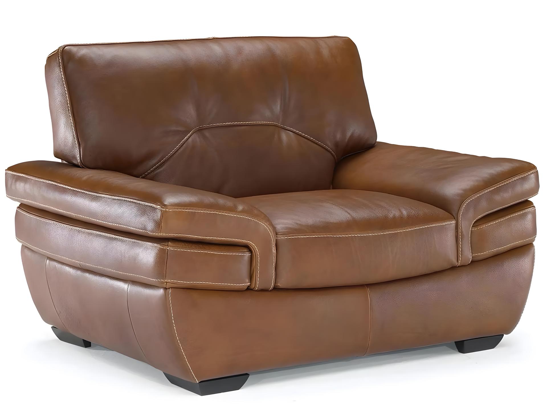 Biagio Top Grain Leather Armchair