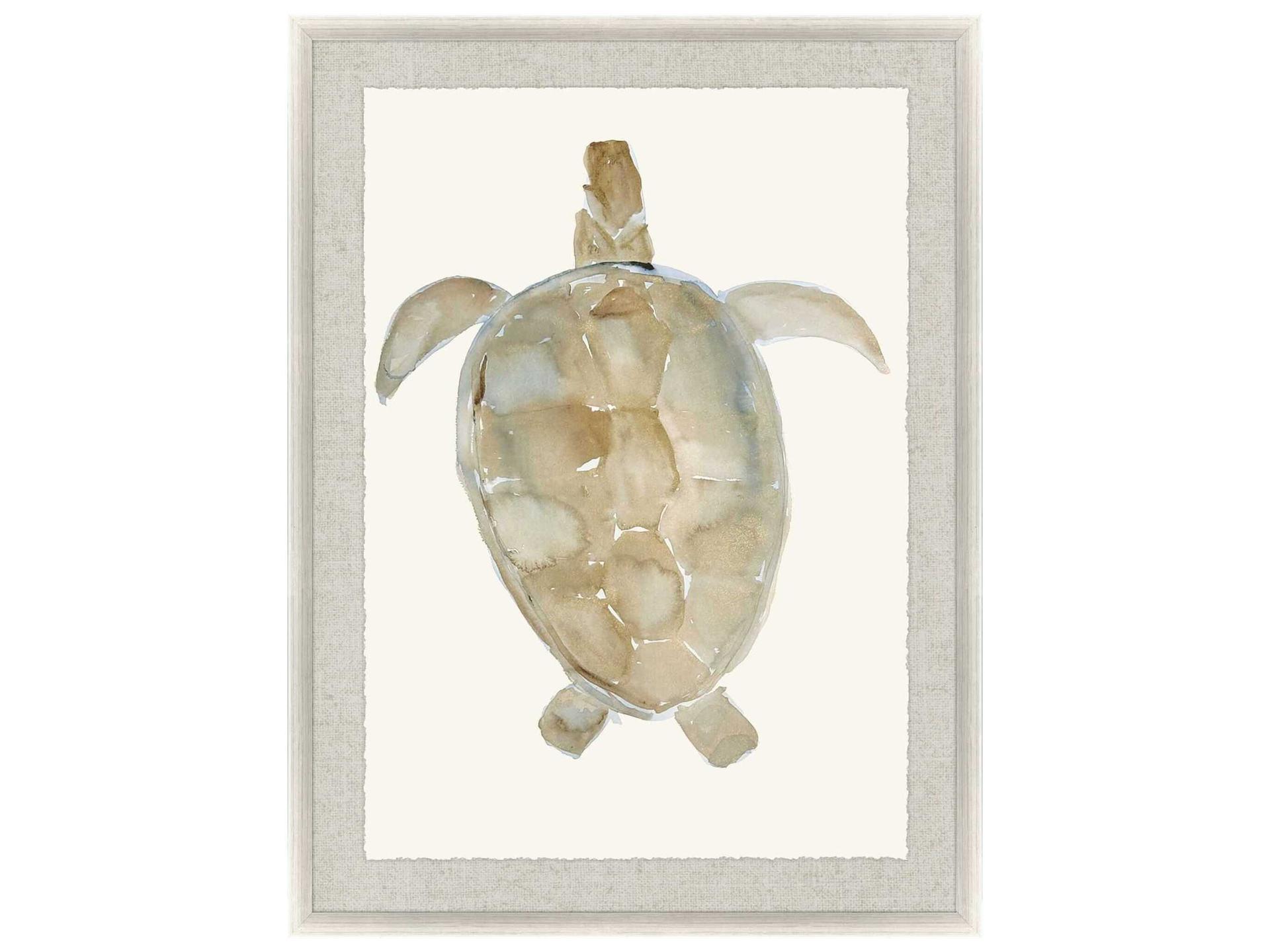 Paragon Neutral Turtle-I Wall Art