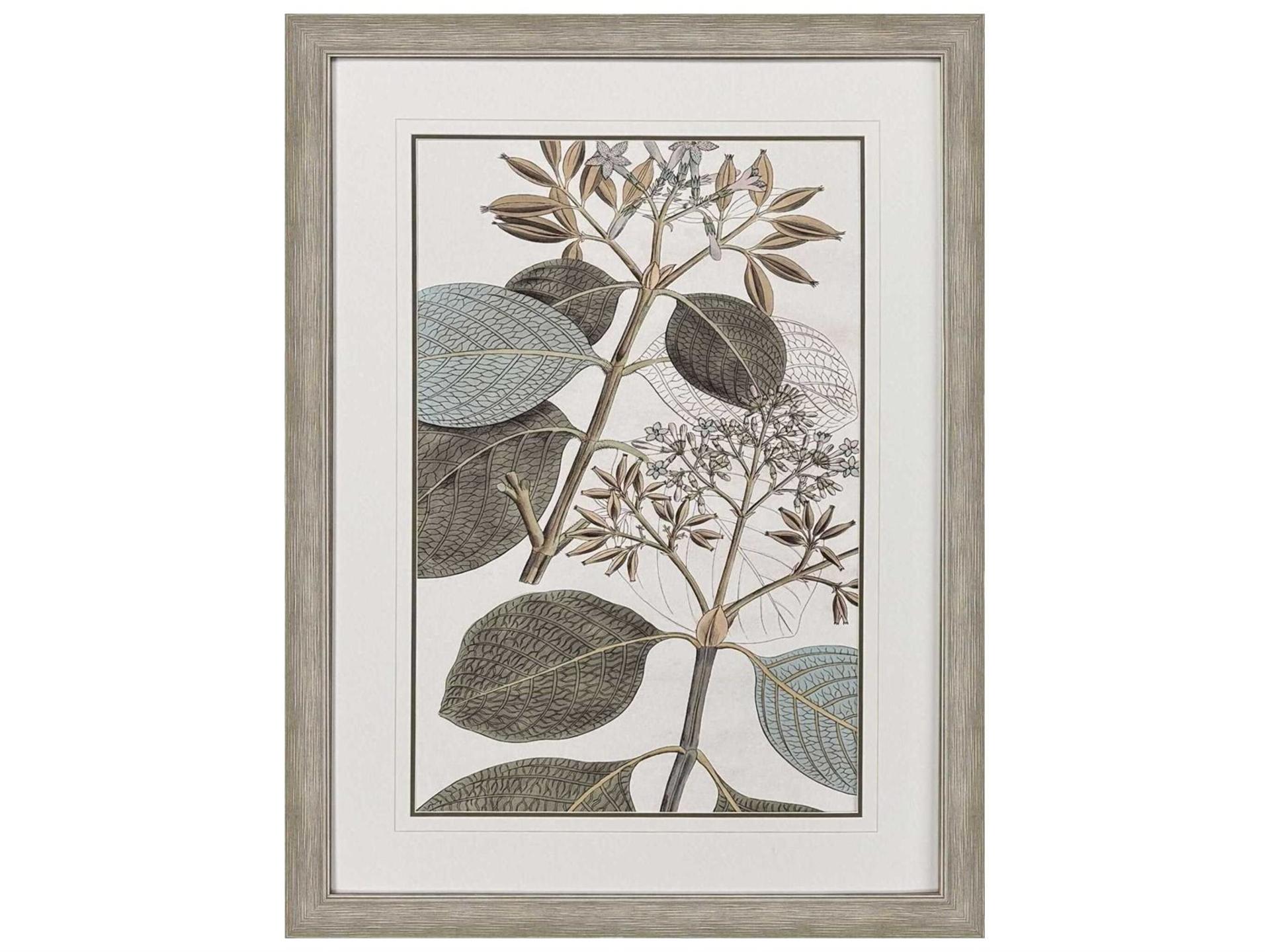 Flowering Botanical I Framed Wall Art in Distressed Silver Finish