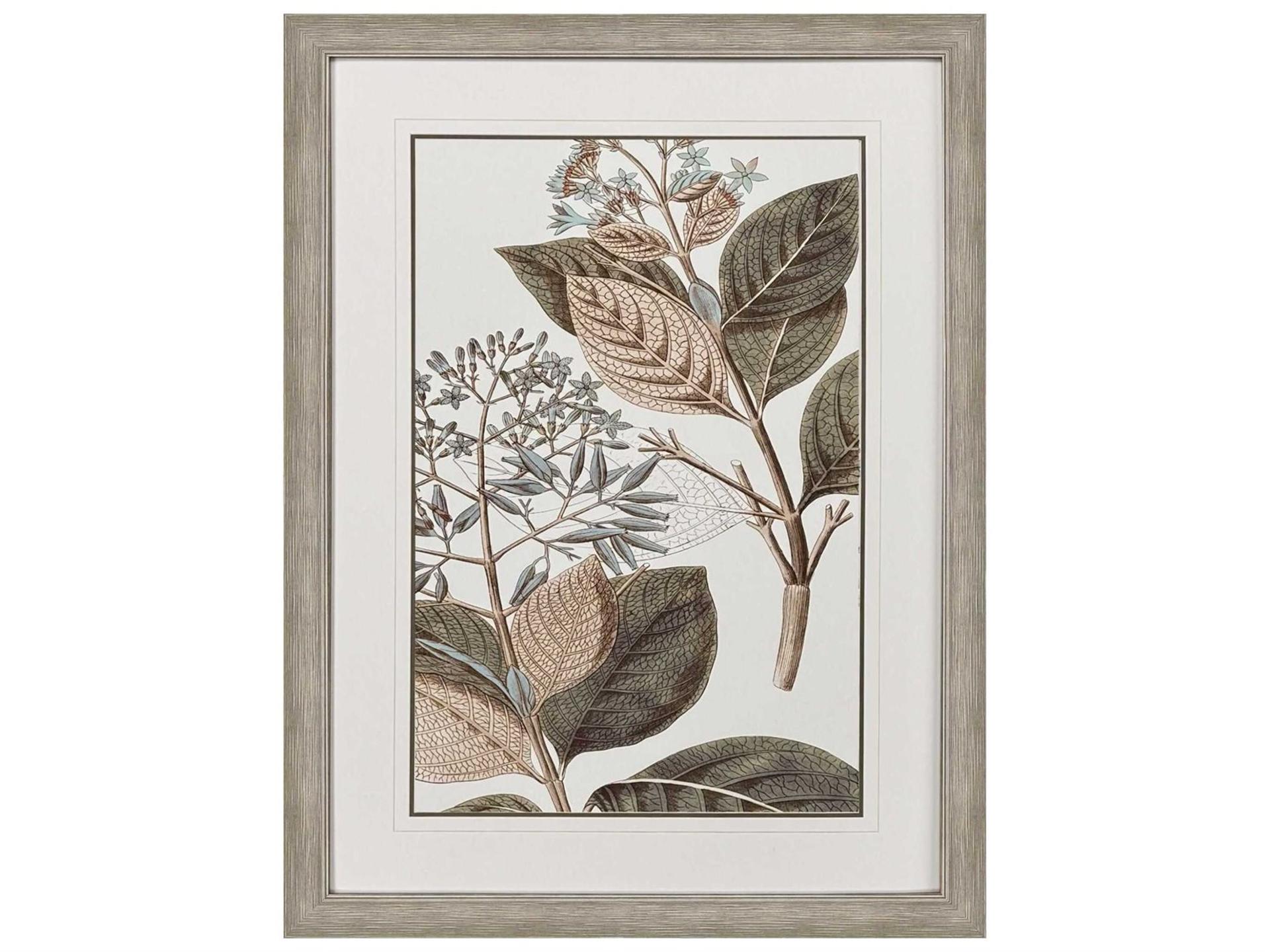 Florals Flowering Botanical III Framed Wall Art in Distressed Silver