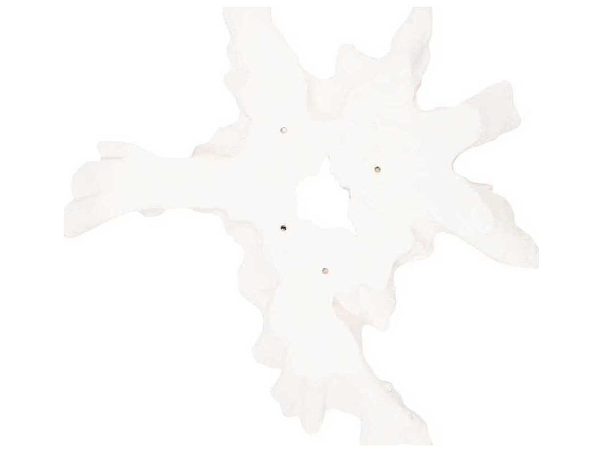 Phillips Collection Cast Carved Root Wall Art