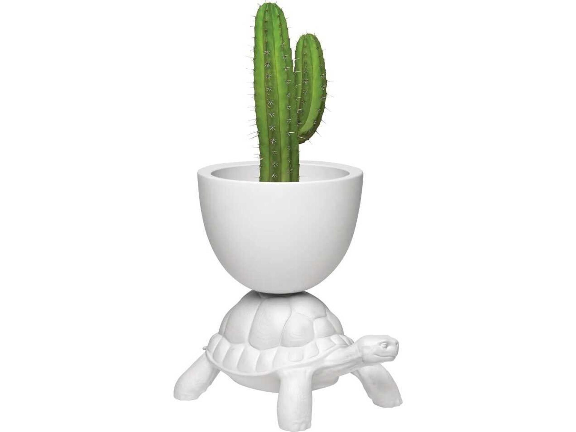 Qeeboo Turtle Carry Outdoor Planter in White Polyethylene