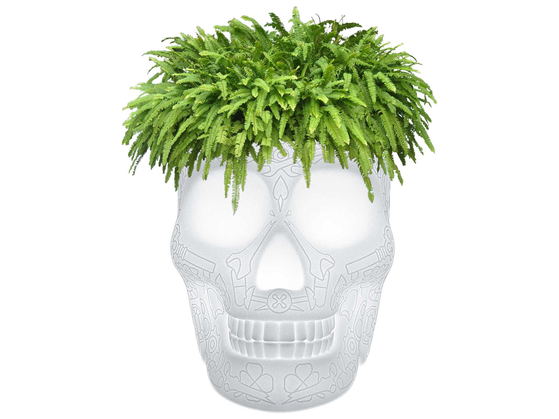 Qeeboo Mexico Translucent LED Planter by Studio Job