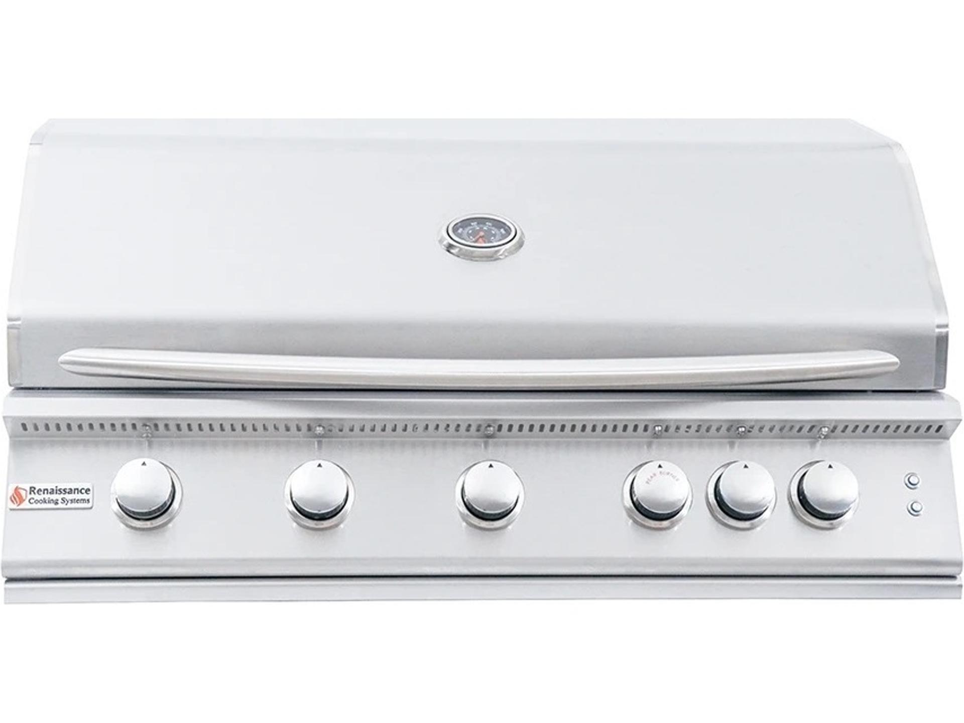 40-Inch Premier Series Built-In Gas Grill with Blue LED and Rear Burner