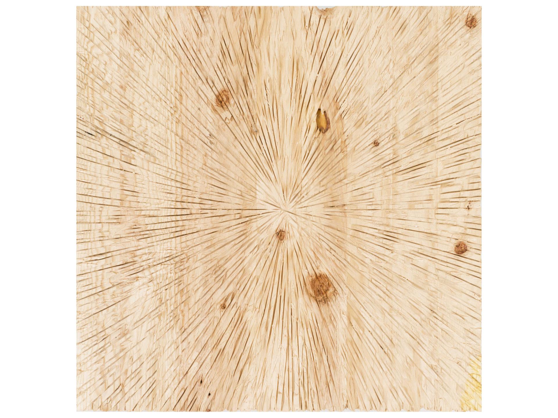 Wall Decor Dimensional Hand-Carved Wood Wall Art in Brown