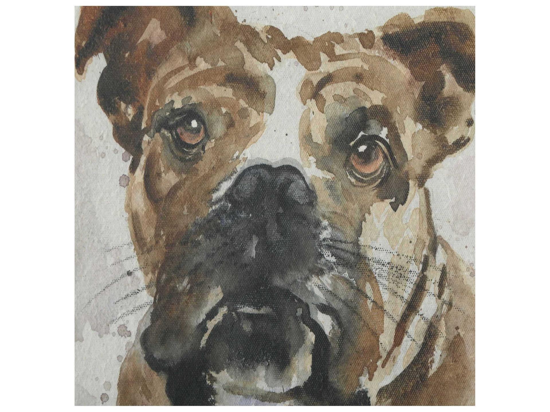 Uttermost Dog Days Framed Prints Set of 4