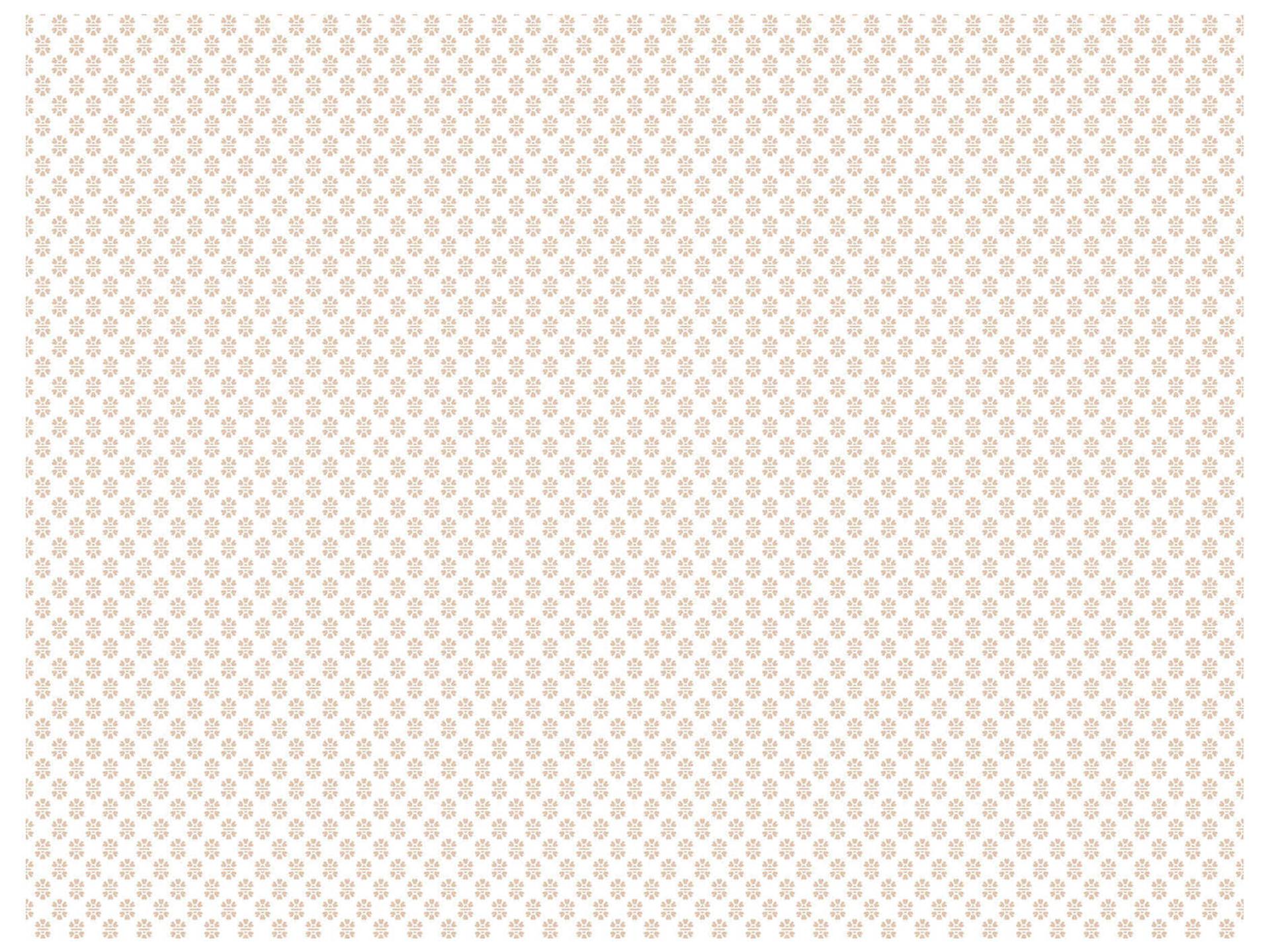 Antonina Vella Brioni Rose Floral Stamp Wallpaper in Pale Rose and White