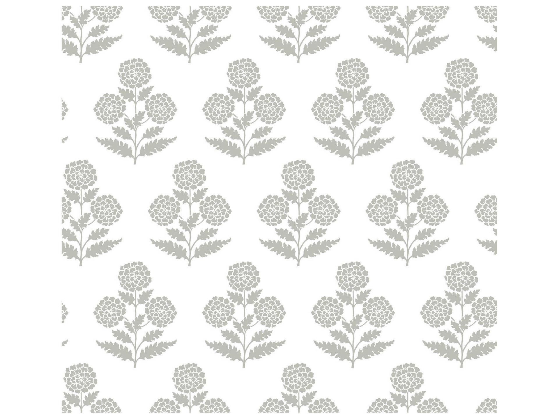 Antonina Vella Jardin Souci Grey Marigolds Wallpaper Modern Botanical