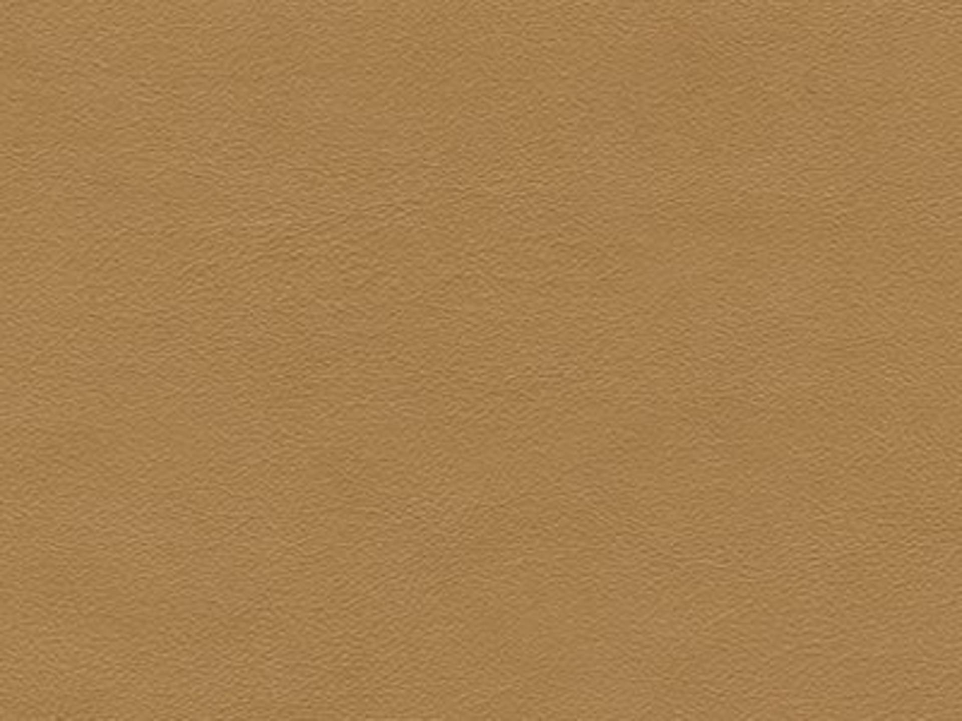 Sofa Leather: Leather 9251-41 - Protected