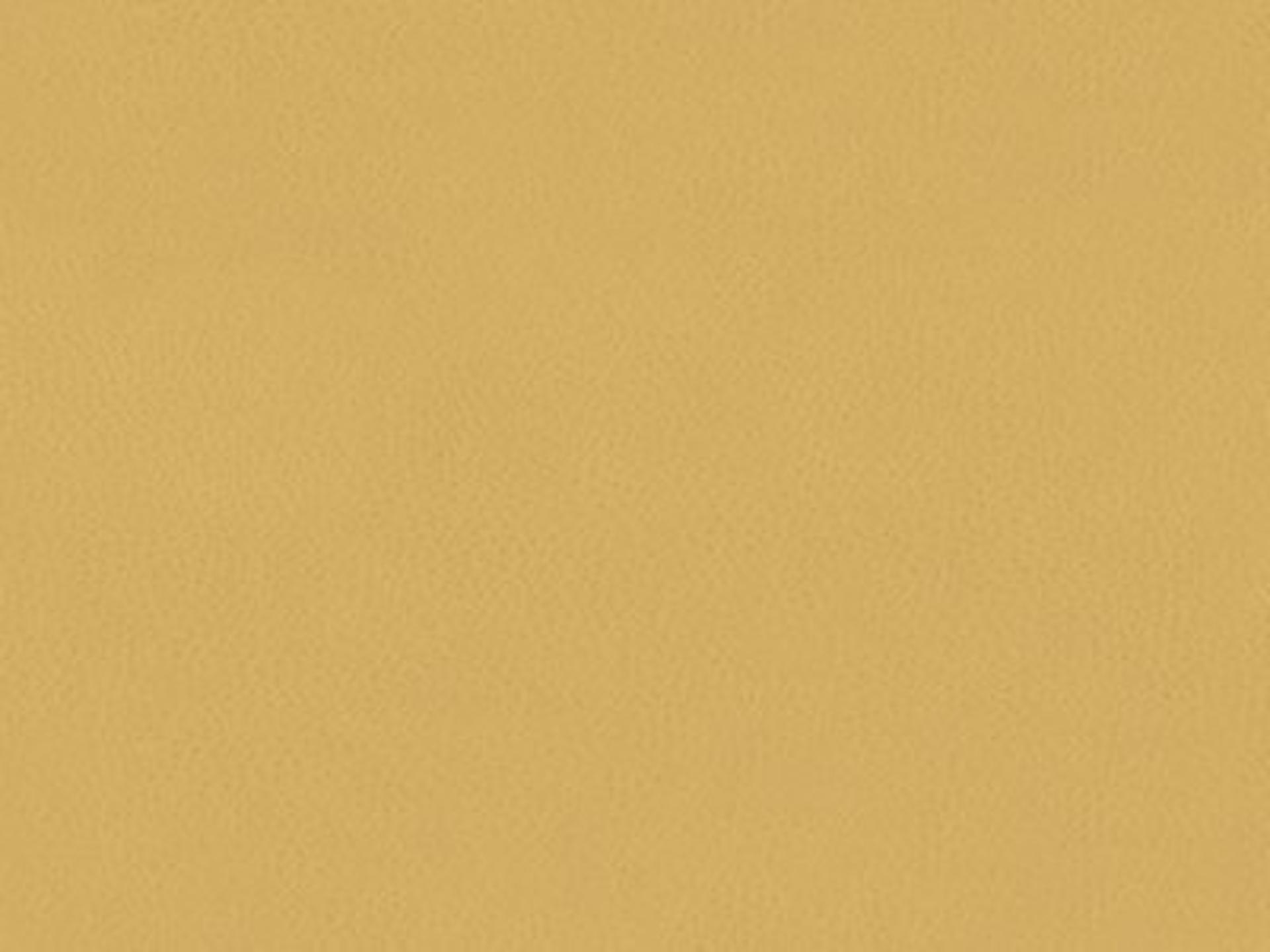 Sofa Leather: Leather 9629-11 - Protected