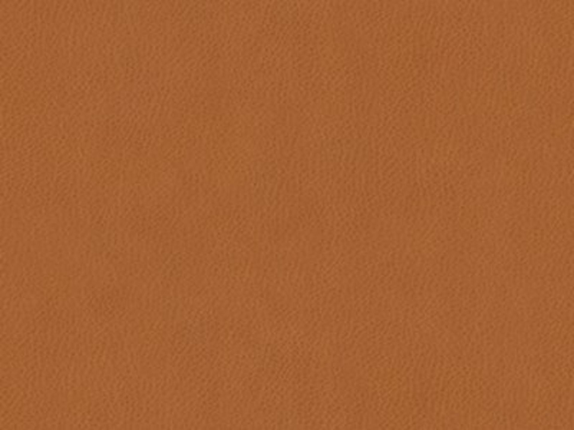 Sofa Leather: Leather 9629-41 - Protected