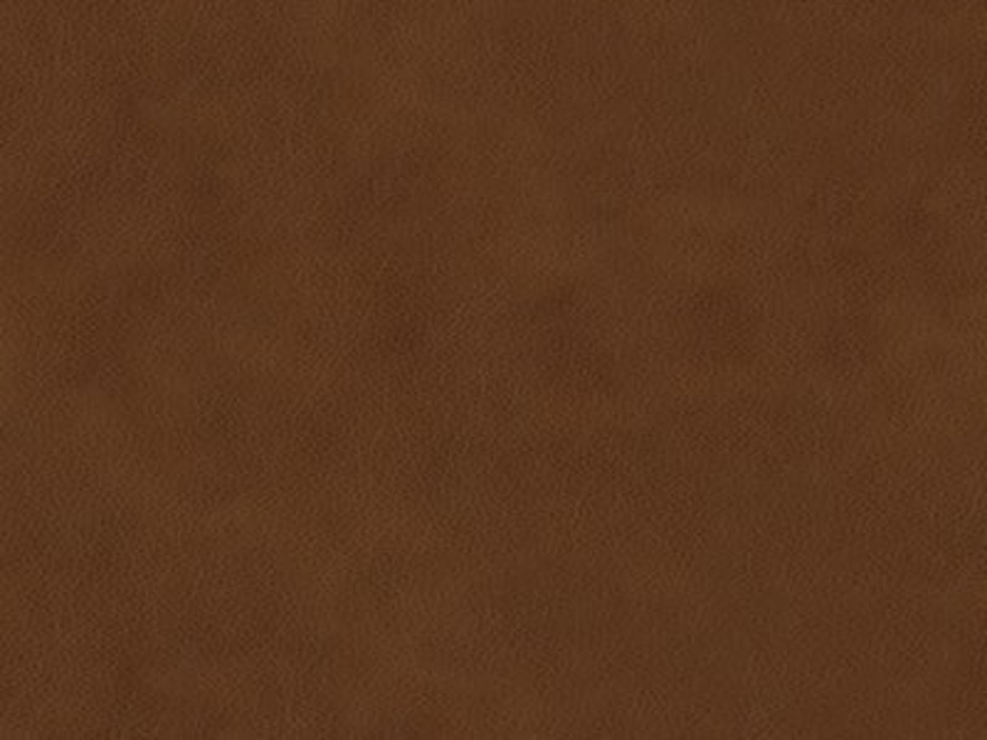 Sofa Leather: Leather 9629-55 - Protected