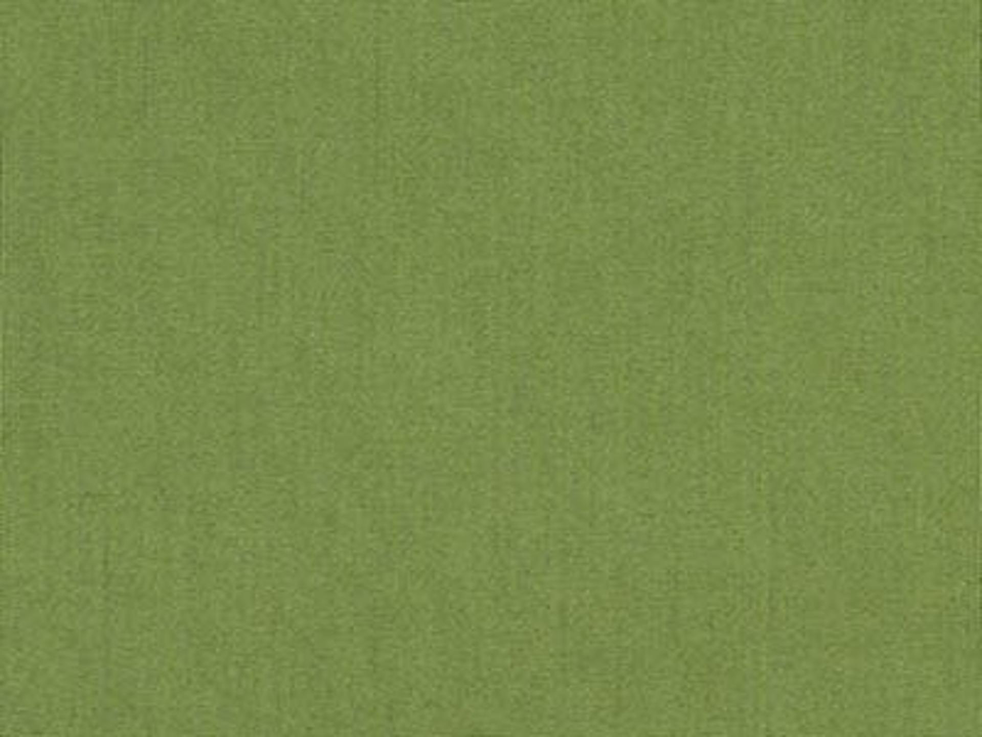 Fabric: Sunbrella Spectrum Cilantro