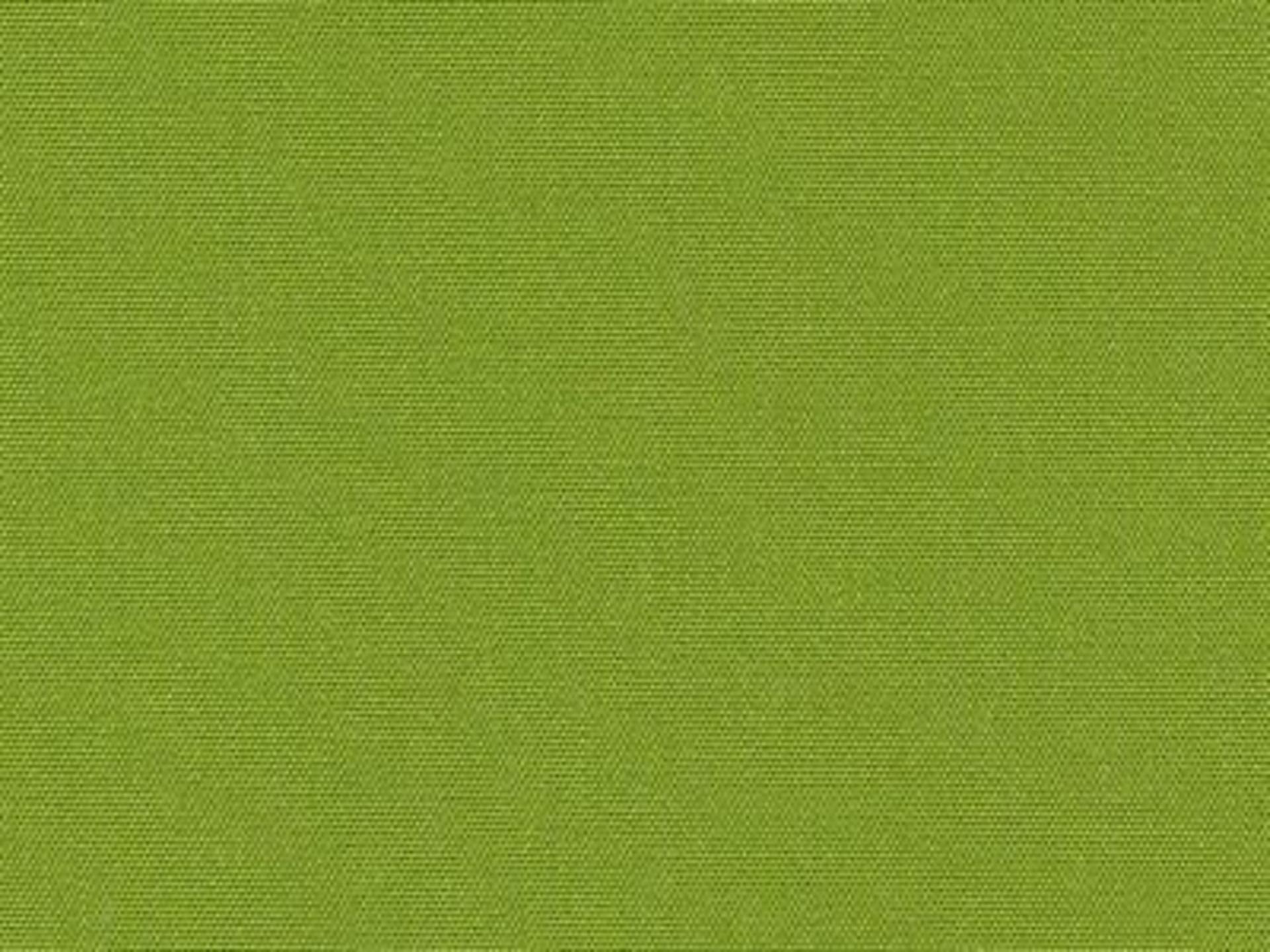 Fabric: Canvas Ginkgo