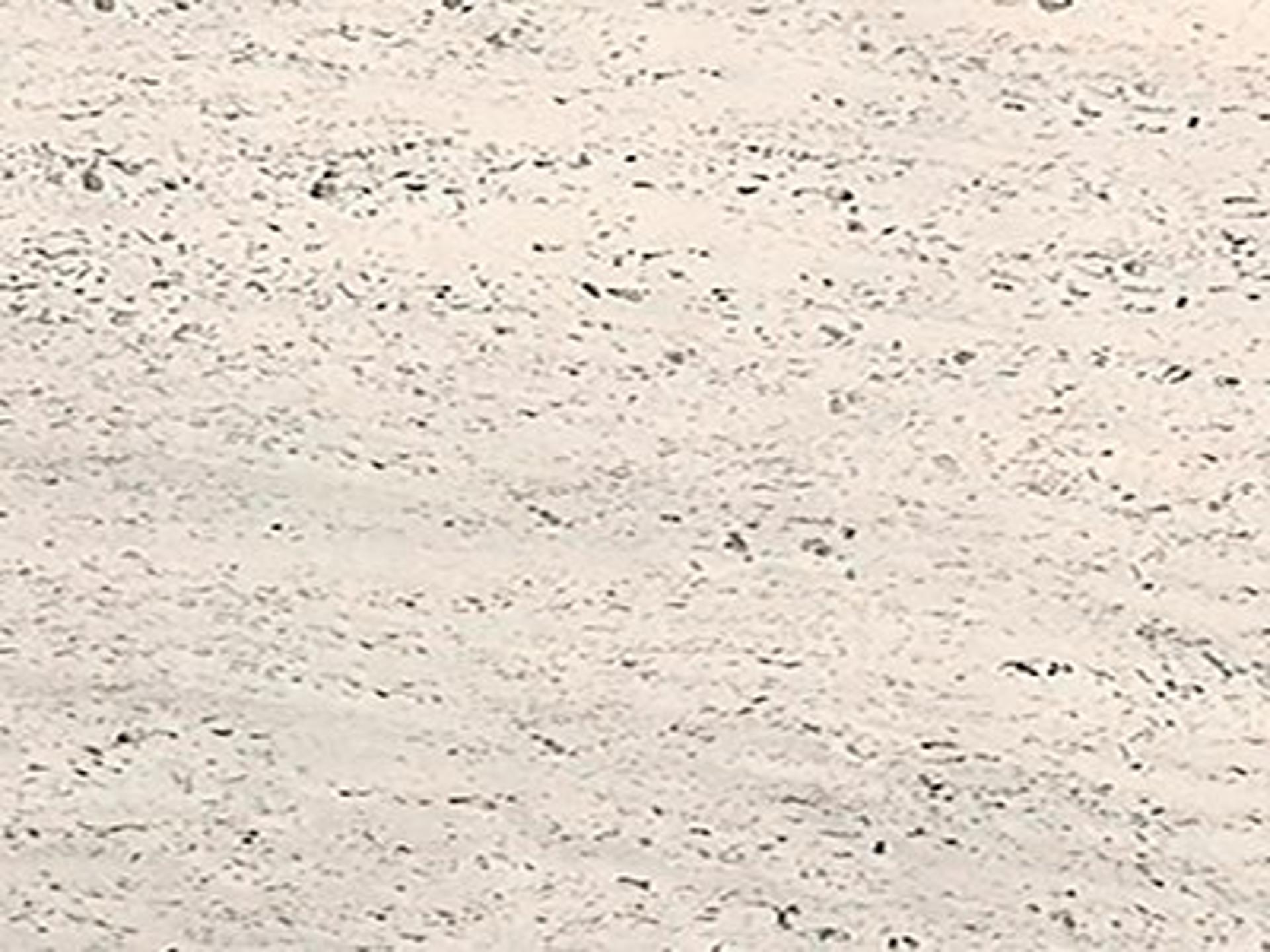 Table Base Finish: Shell