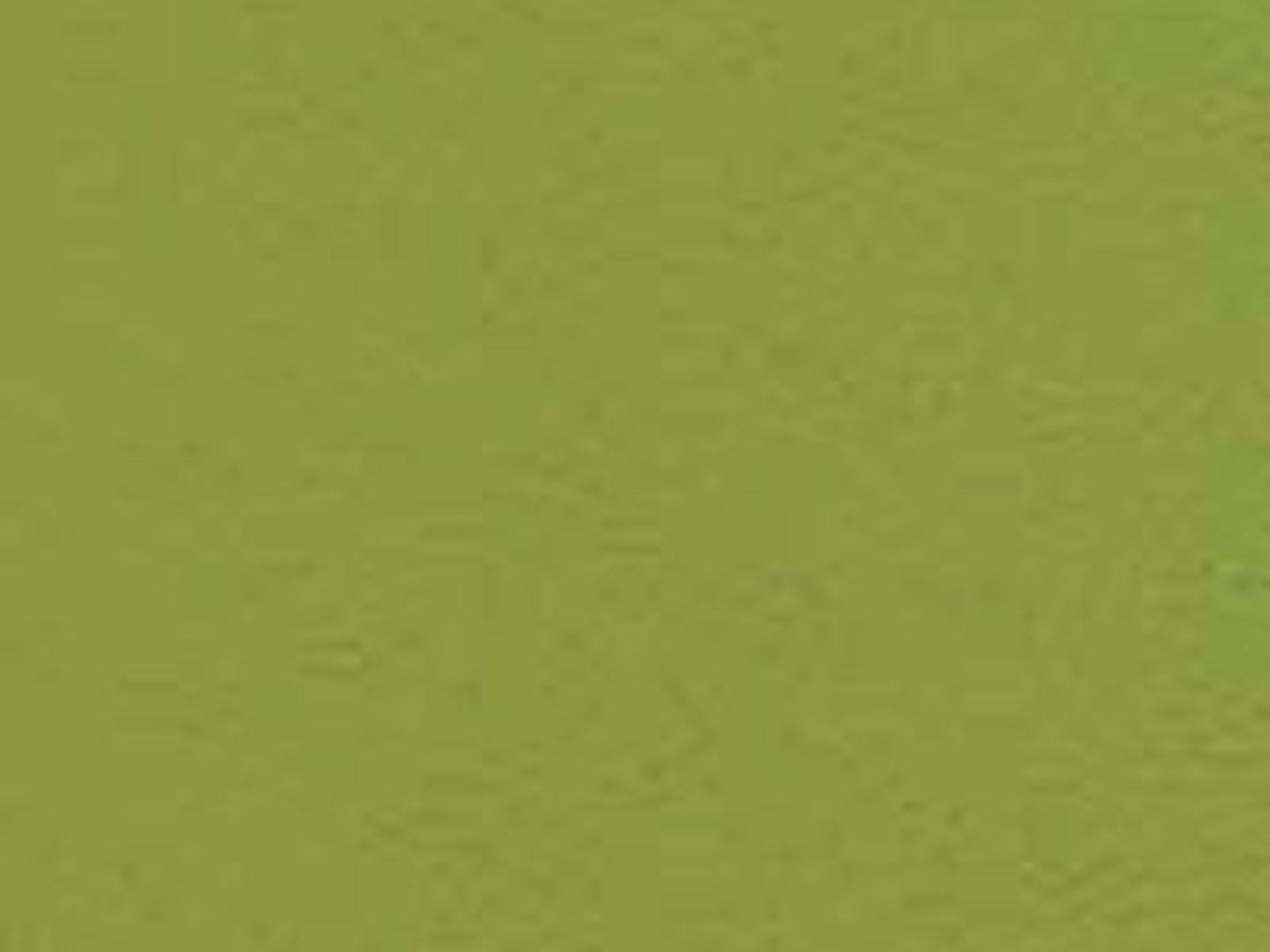 Seating Frame Finish: Green