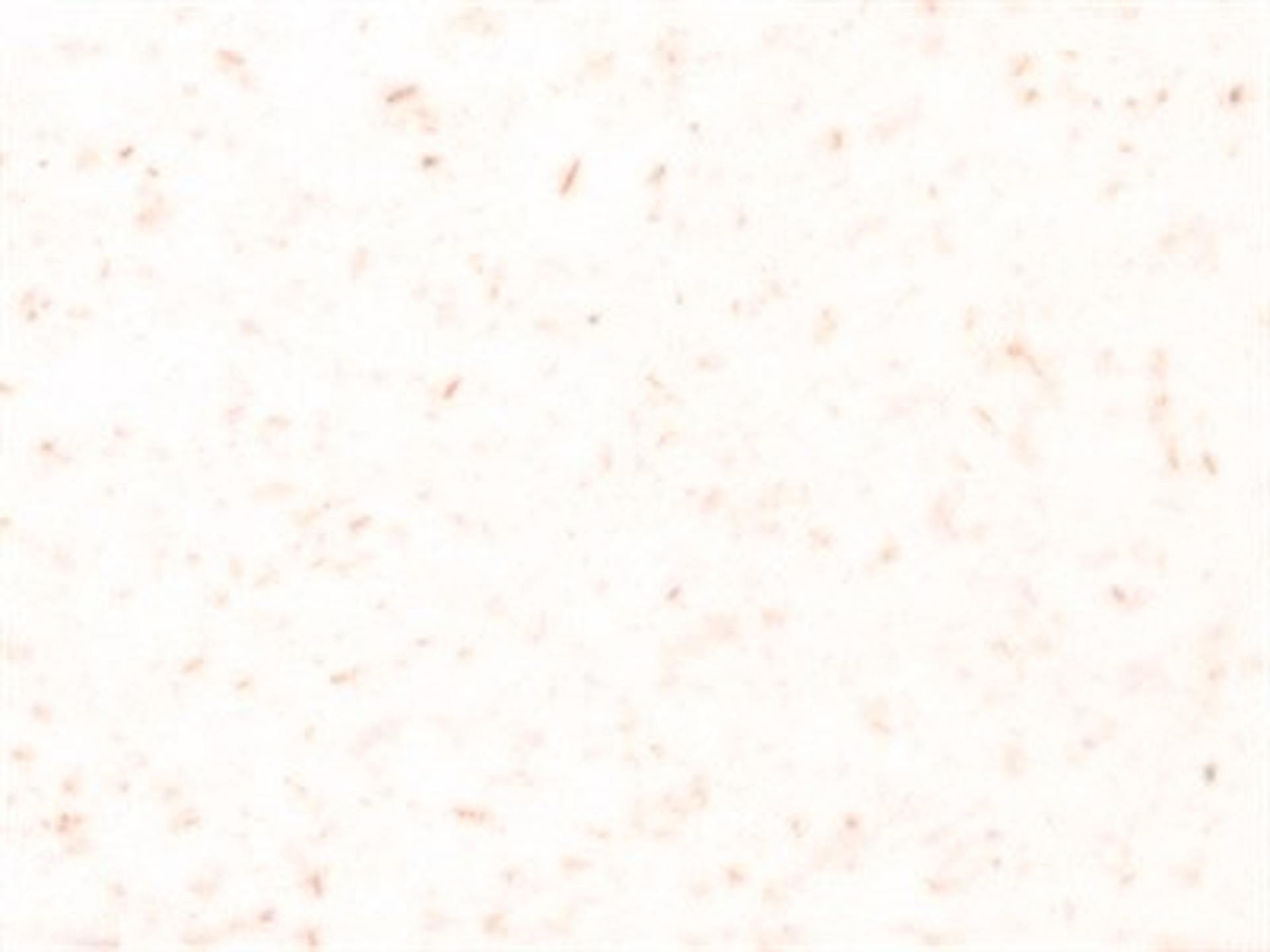 Finish: White - 100% Reclaimed polypropylene with wood fiber