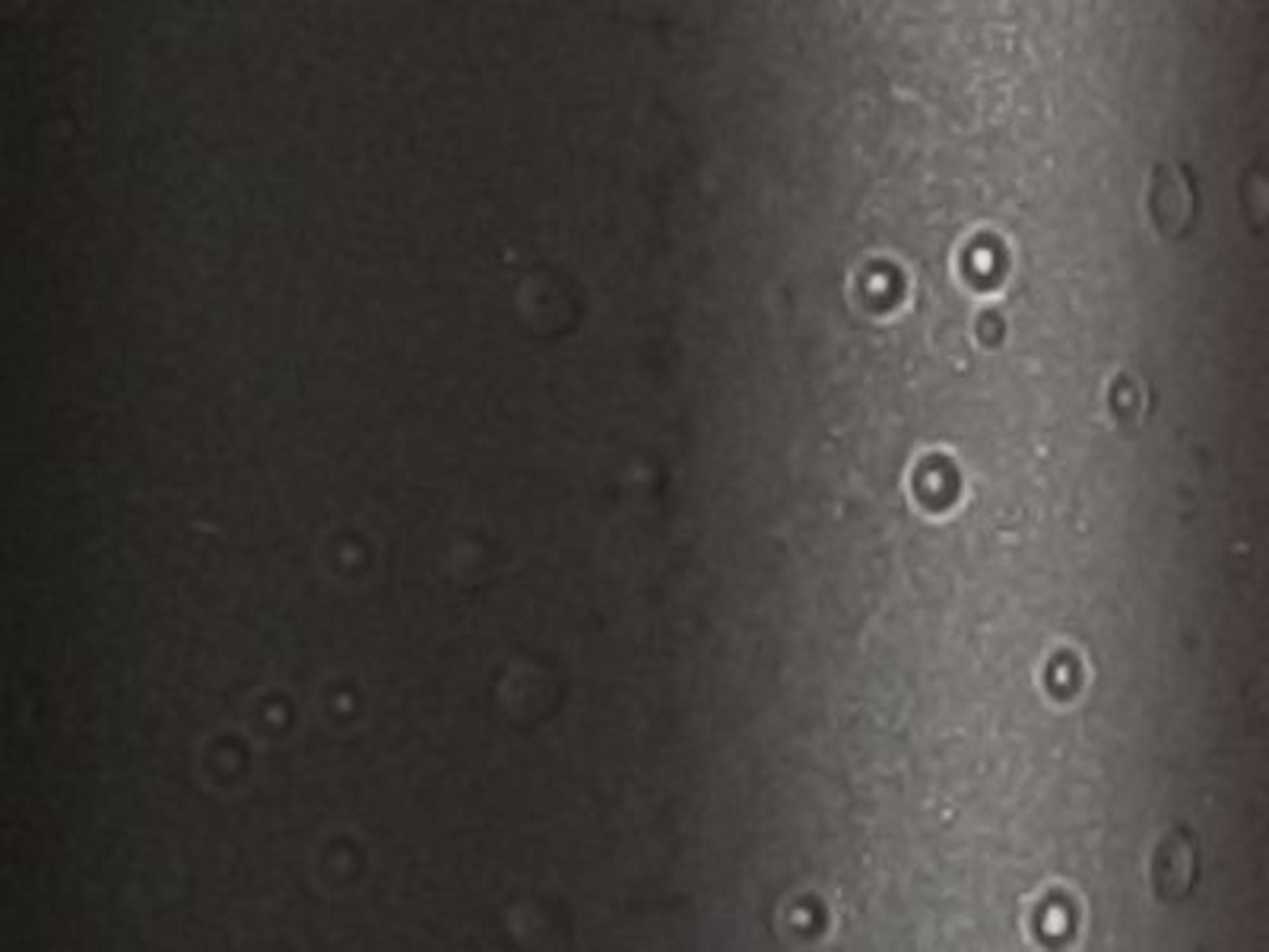 Finish: Antique Bronze