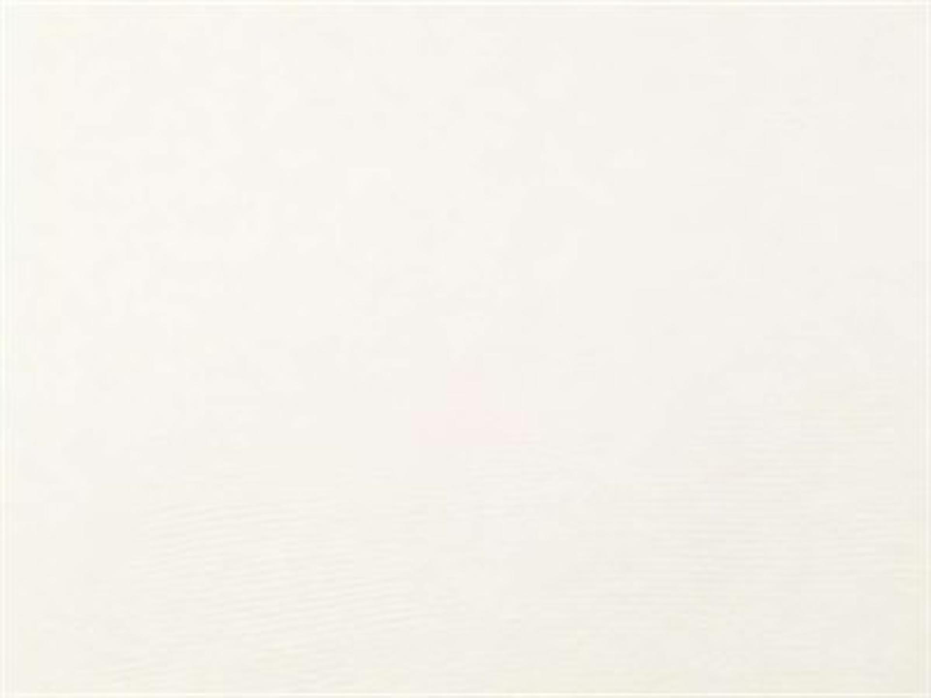 Fabric: Canvas Natural