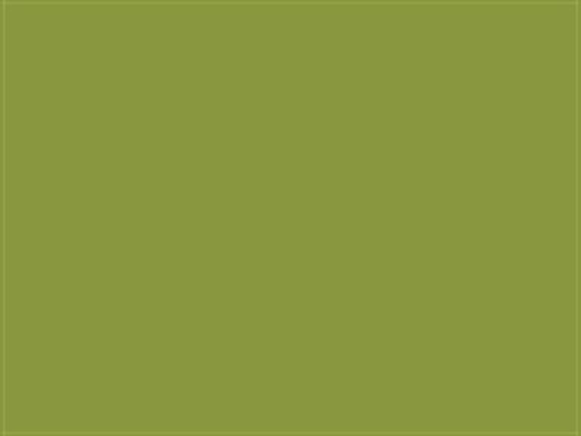 Fabric: Sunbrella Macaw / Olive