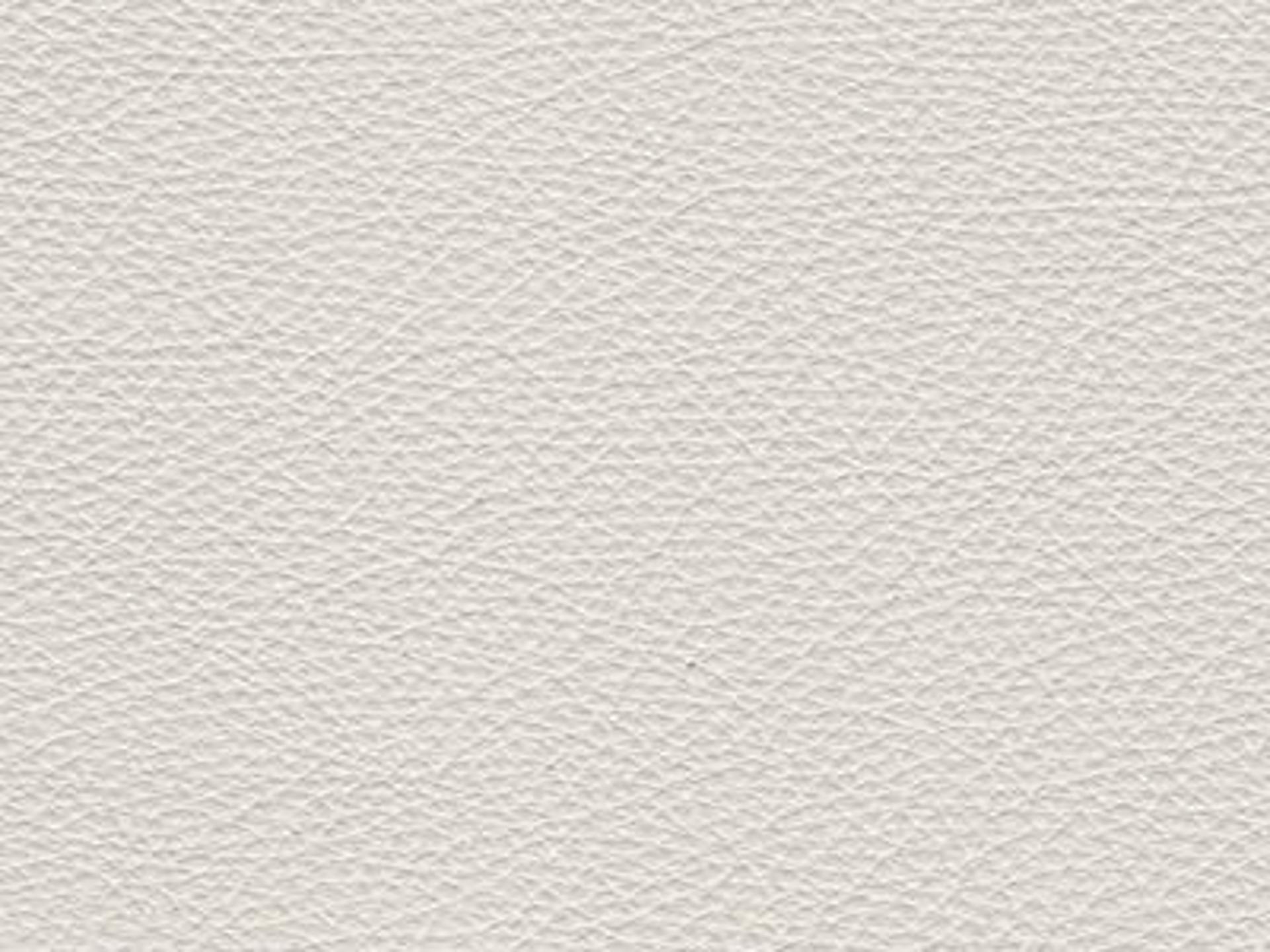 Upholstery: Le Mans White Leather - 15C1